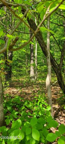 000 Flatbush Road Hannacroix NY 12192