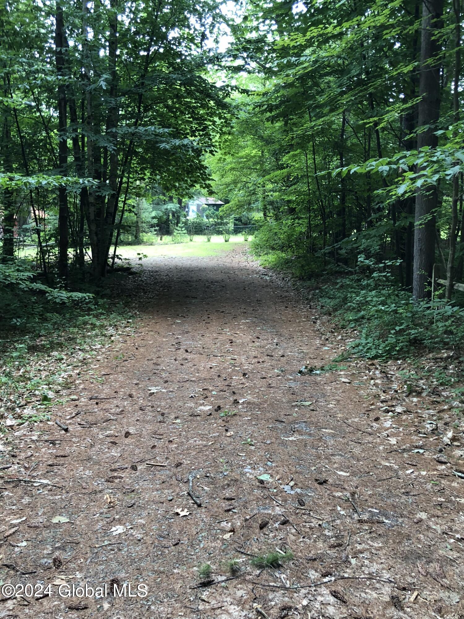L20 White Birch Drive Lake Luzerne NY 12846