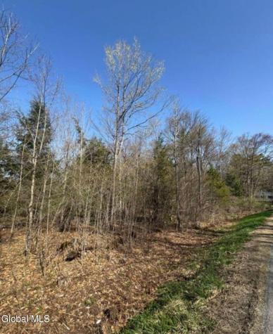 522 N Creek Road Greenfield Center NY 12833