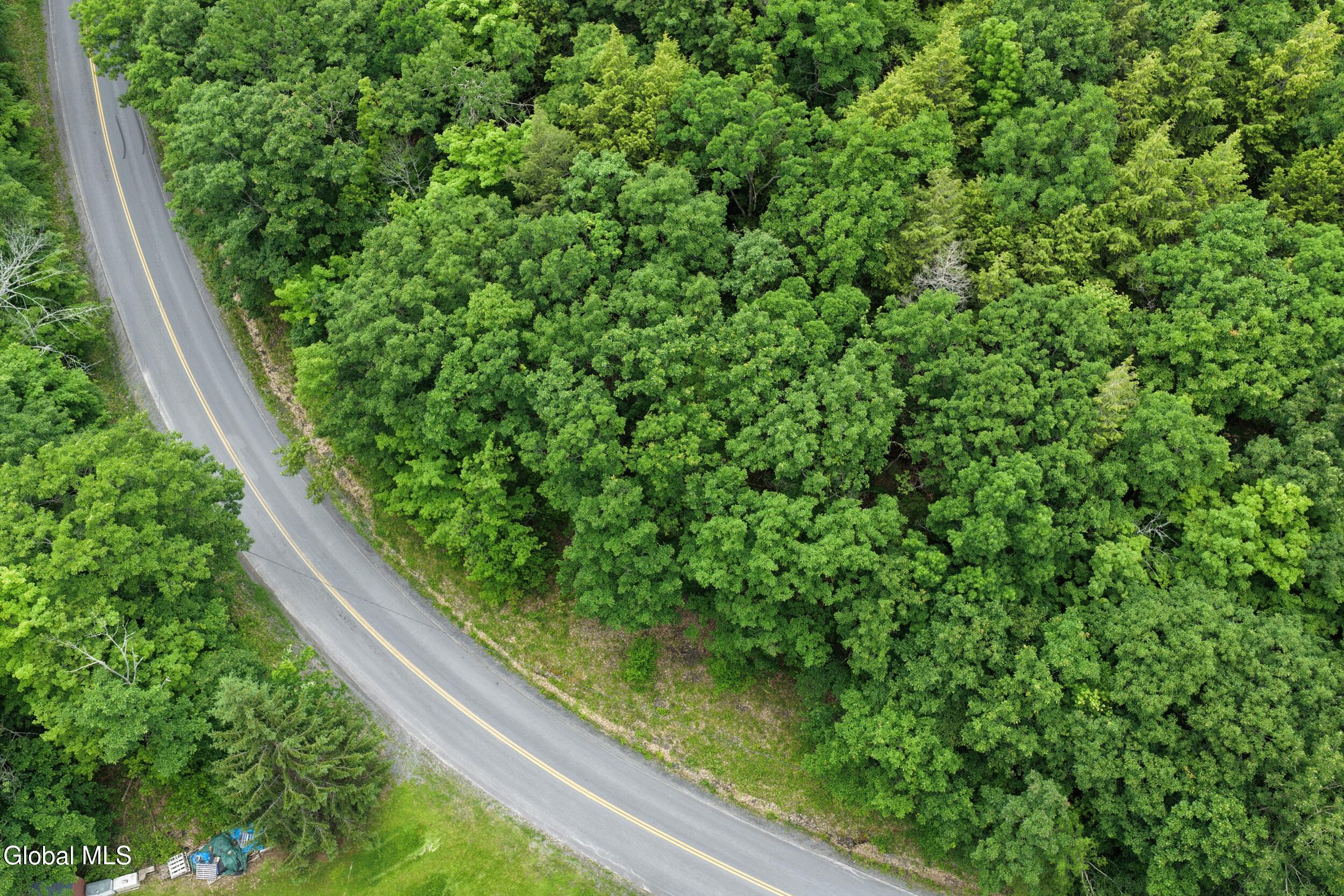 L1.00 Cotton Hill Road Berne NY 12023