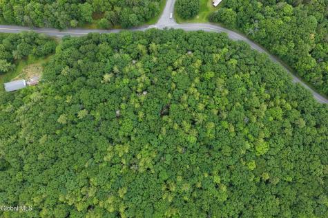 L1.00 Cotton Hill Road Berne NY 12023