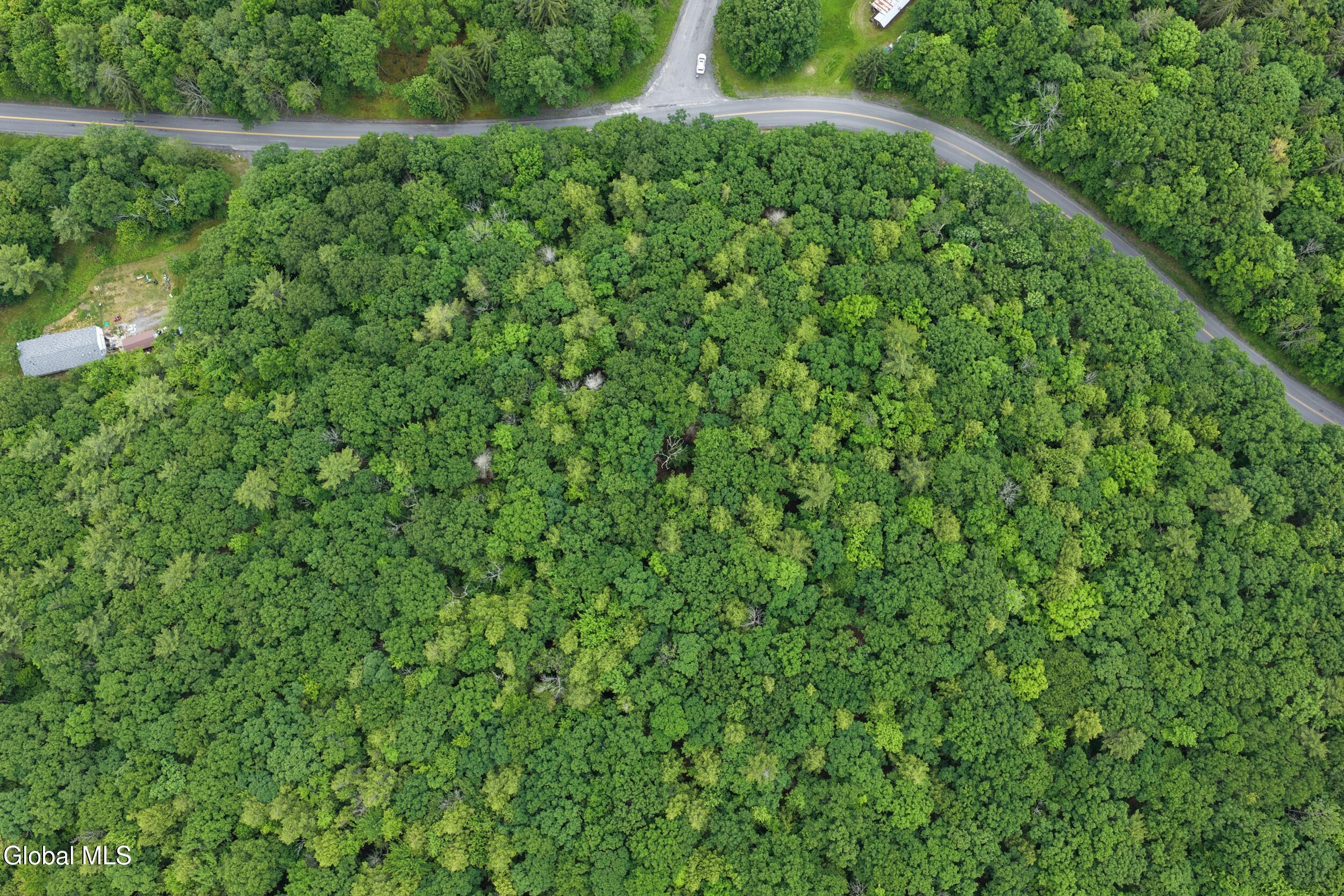 L1.00 Cotton Hill Road Berne NY 12023
