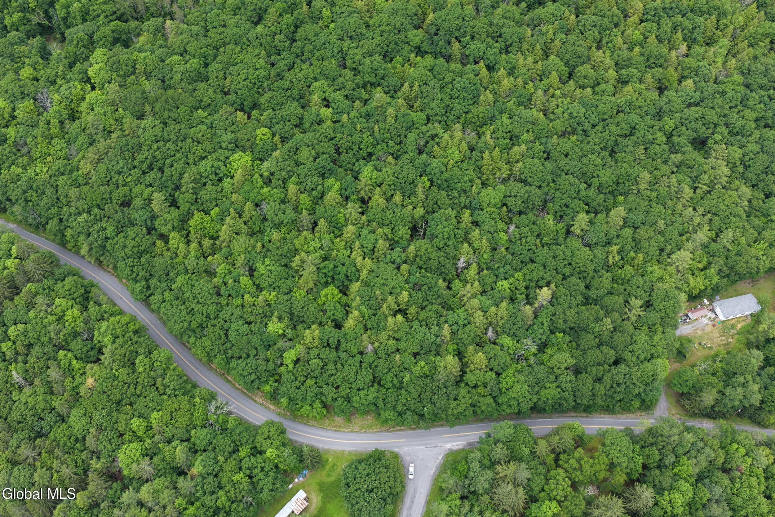 L1.00 Cotton Hill Road Berne NY 12023