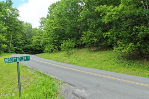 L1.00 Cotton Hill Road Berne NY 12023
