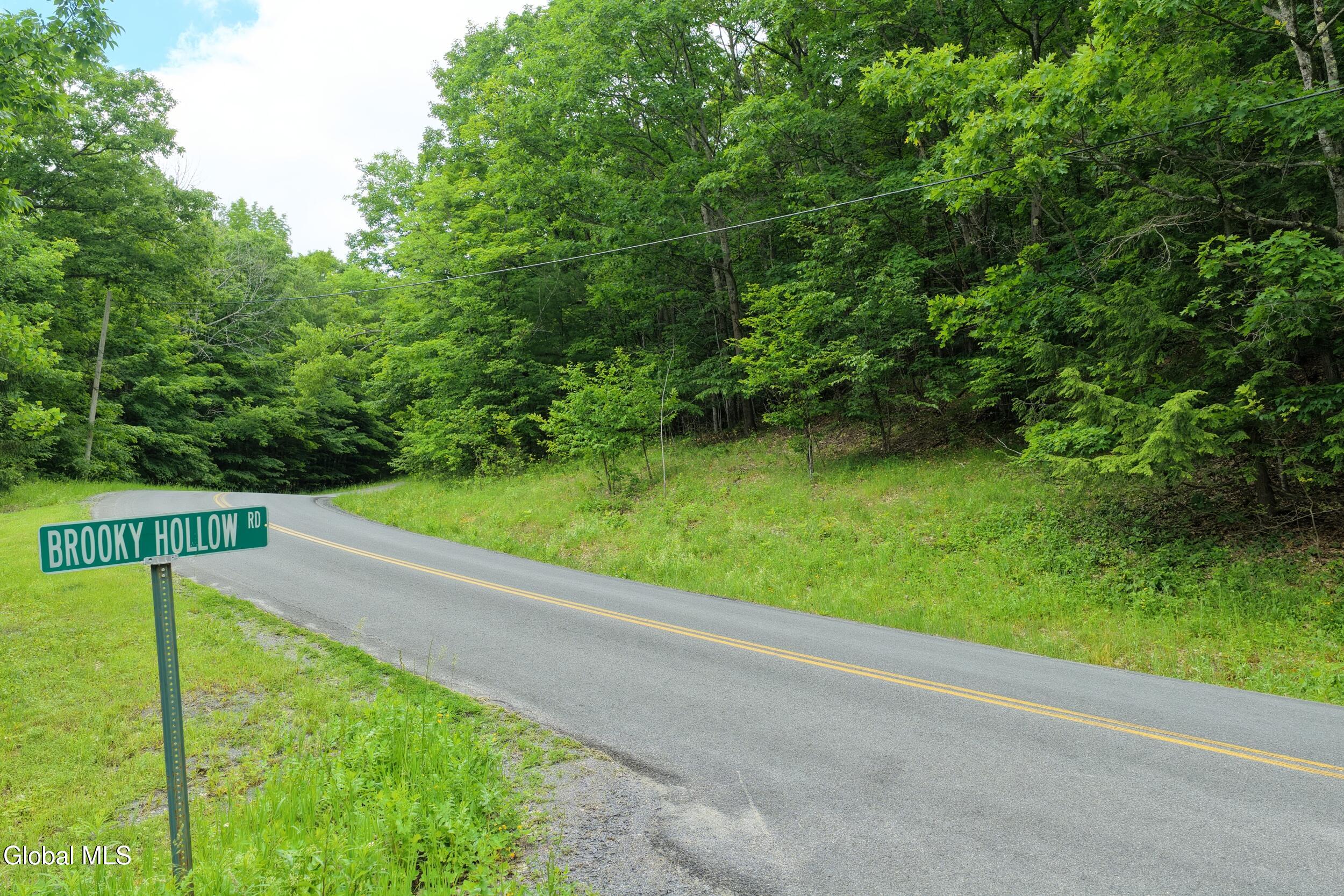 L1.00 Cotton Hill Road Berne NY 12023