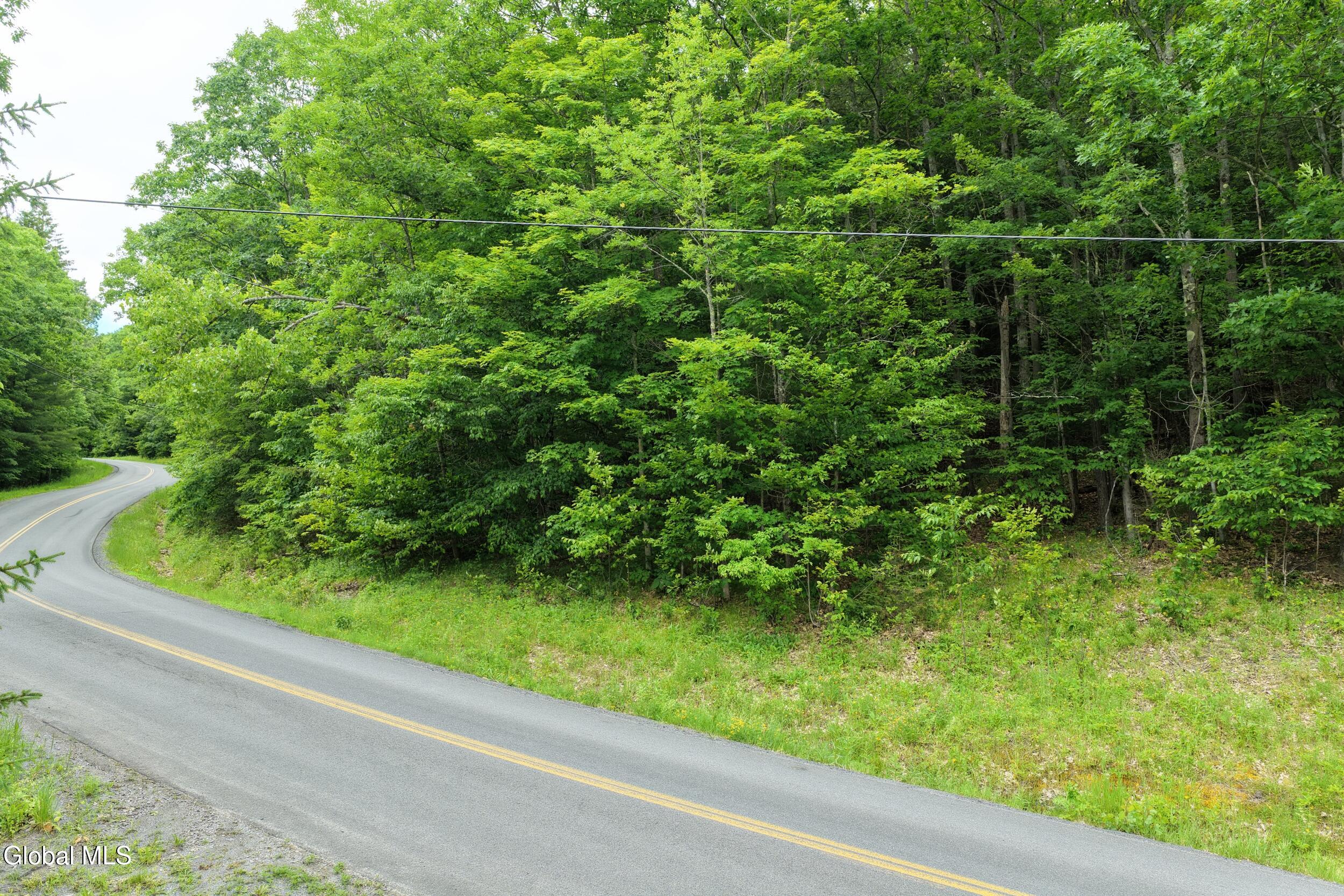 L1.00 Cotton Hill Road Berne NY 12023
