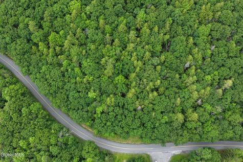 L1.00 Cotton Hill Road Berne NY 12023