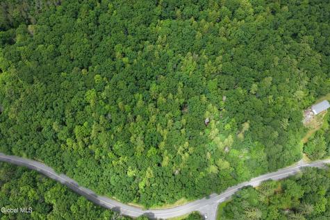 L1.00 Cotton Hill Road Berne NY 12023