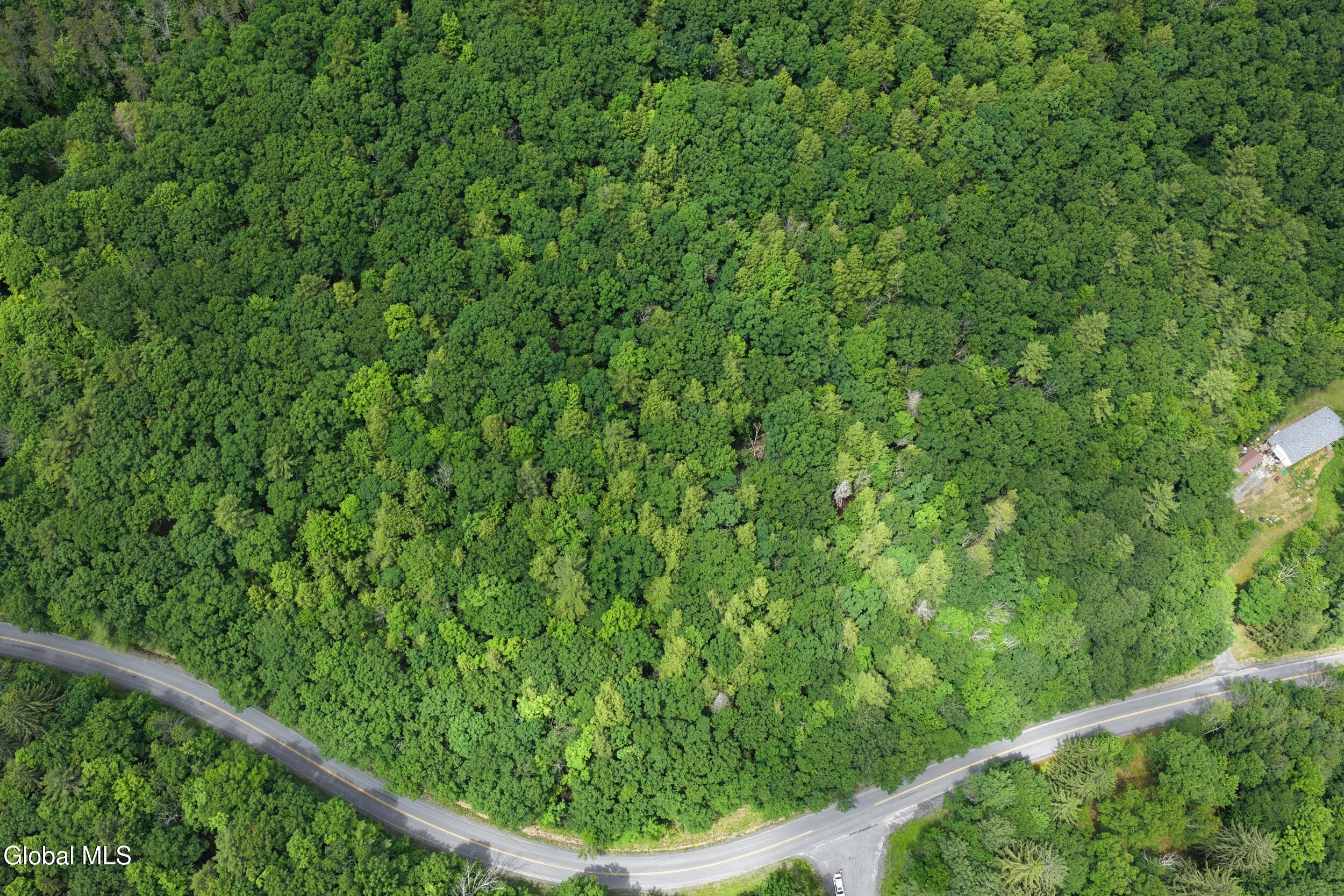 L1.00 Cotton Hill Road Berne NY 12023