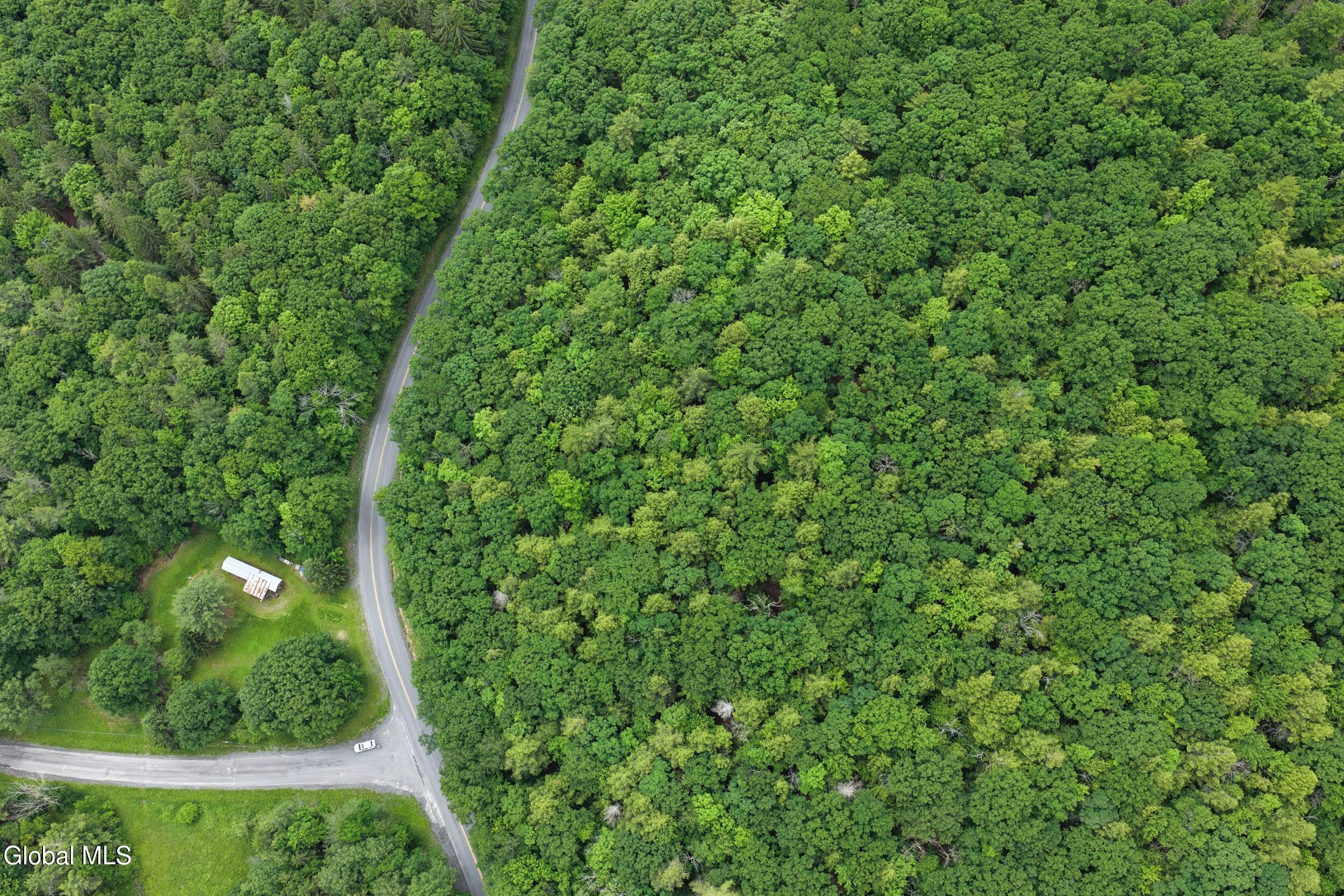 L1.00 Cotton Hill Road Berne NY 12023