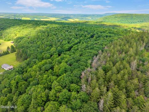 511 Willsie Road East Berne NY 12059