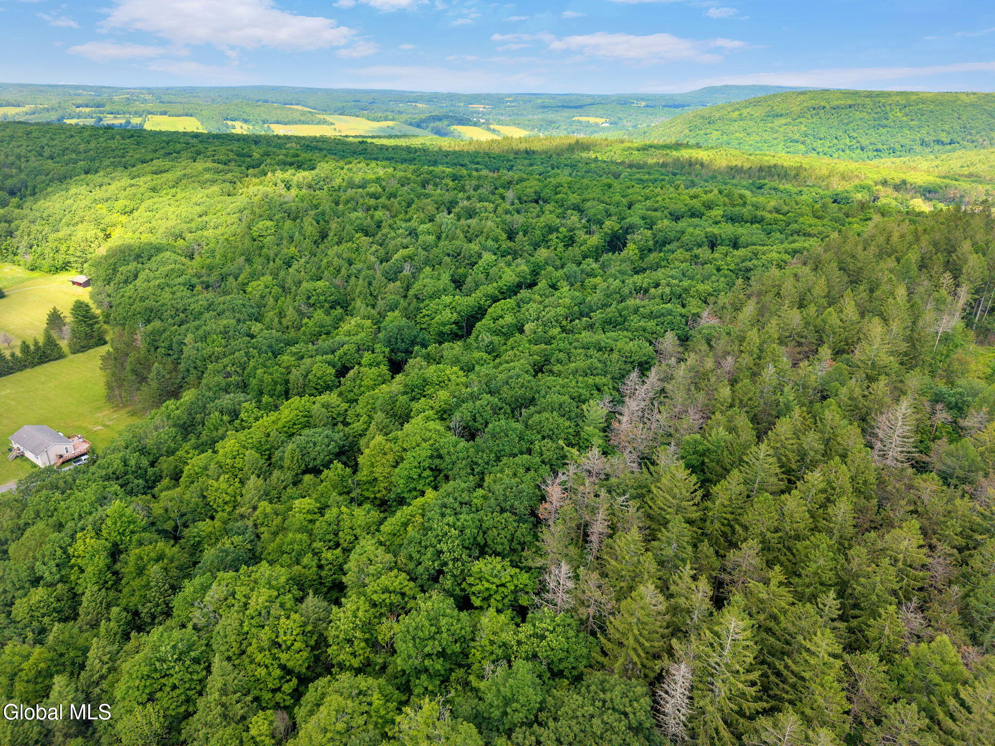 511 Willsie Road East Berne NY 12059