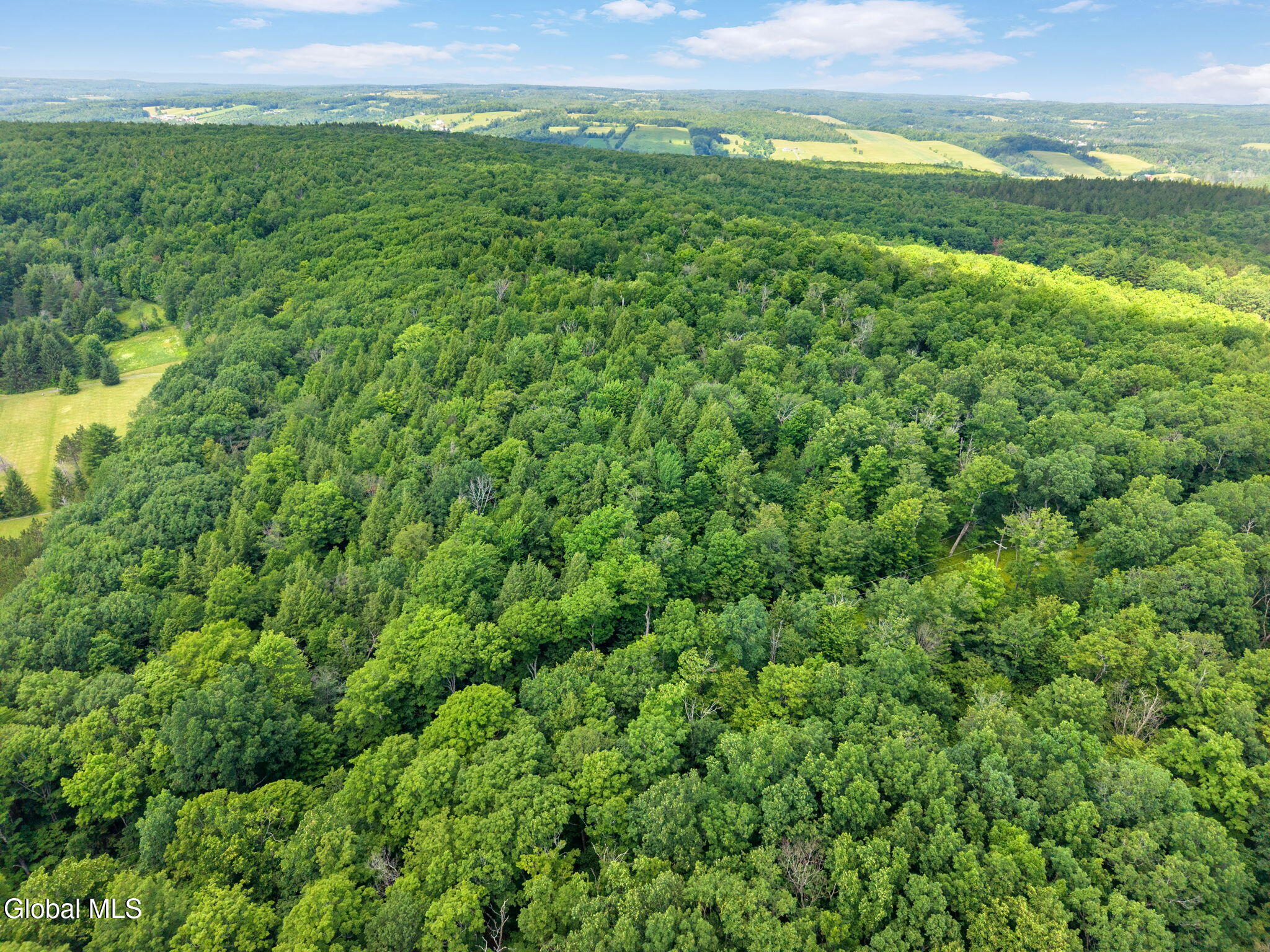 511 Willsie Road East Berne NY 12059