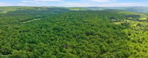 511 Willsie Road East Berne NY 12059