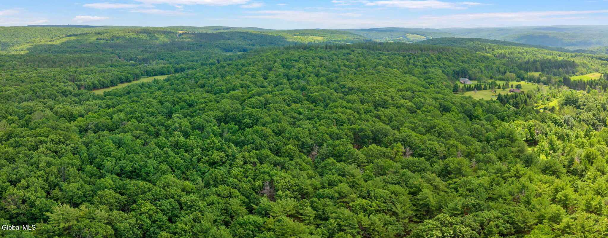 511 Willsie Road East Berne NY 12059