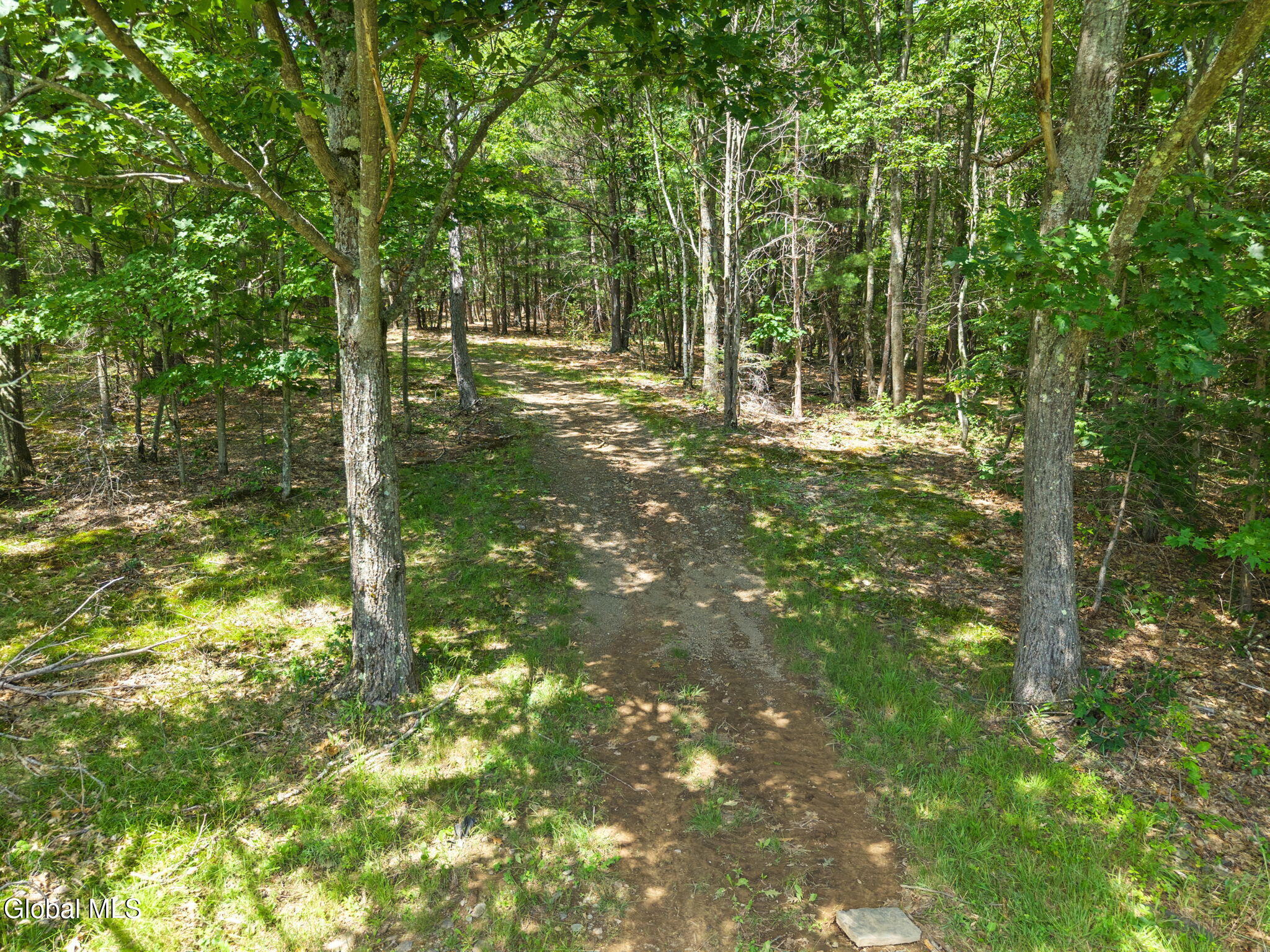 511 Willsie Road East Berne NY 12059