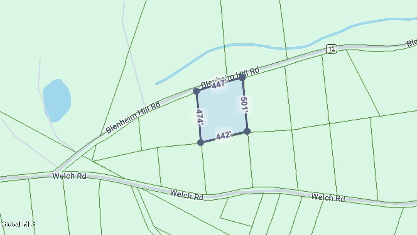L2.27 Blenheim Hill Road Jefferson NY 12131