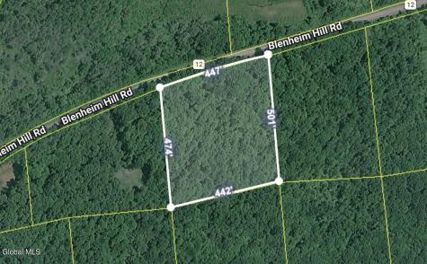 L2.27 Blenheim Hill Road Jefferson NY 12131