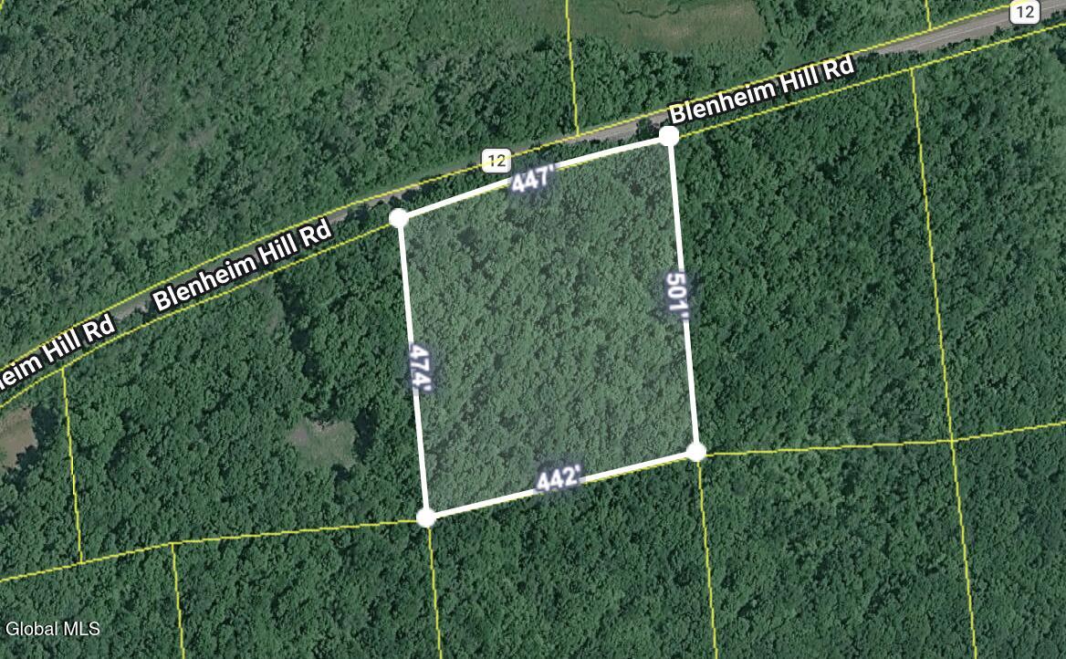 L2.27 Blenheim Hill Road Jefferson NY 12131