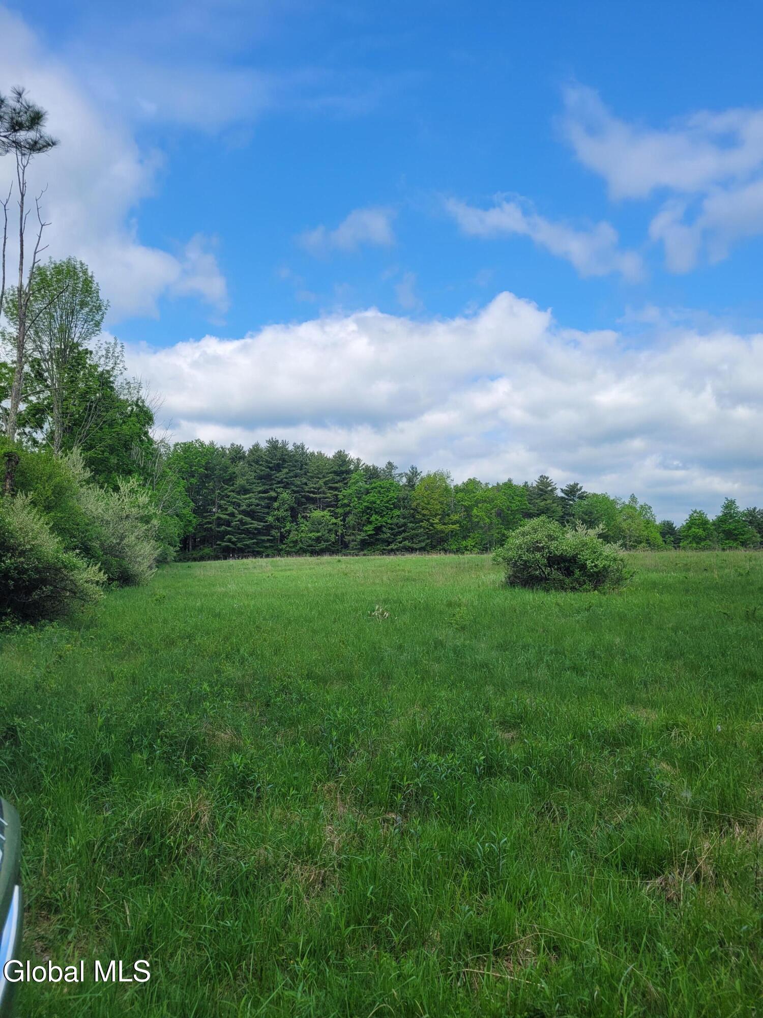 L13 Mackey Road East Durham NY 12423