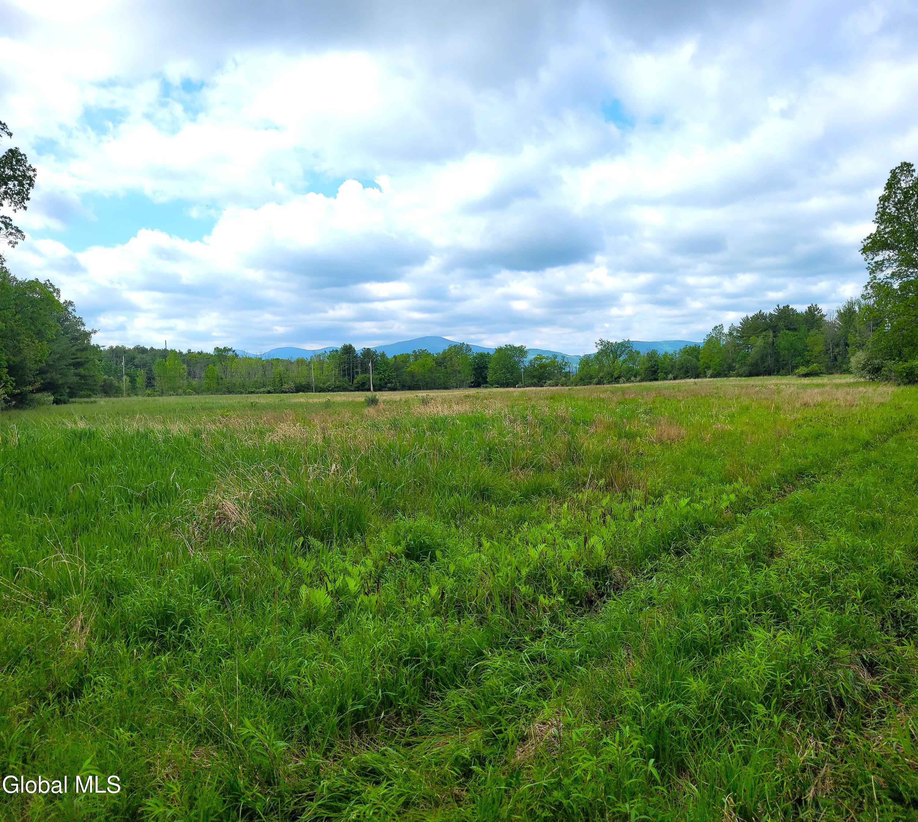 L13 Mackey Road East Durham NY 12423