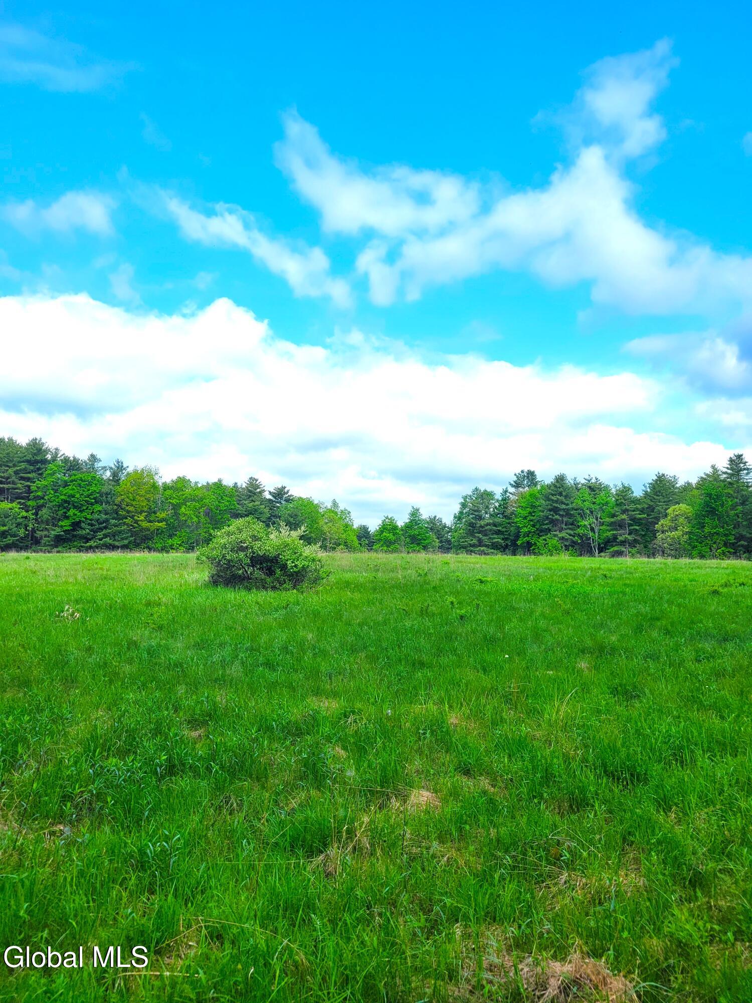 L13 Mackey Road East Durham NY 12423
