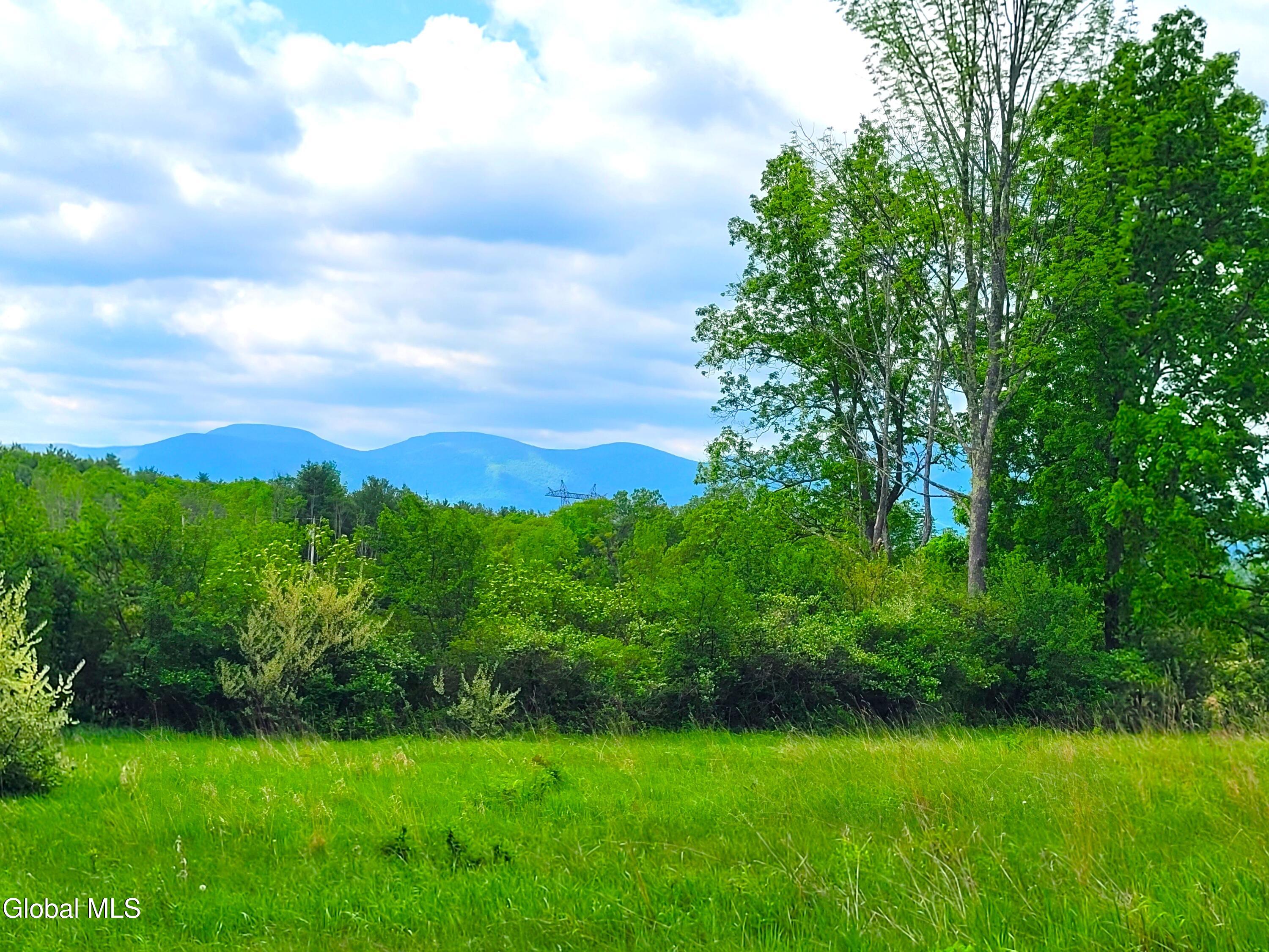 L13 Mackey Road East Durham NY 12423