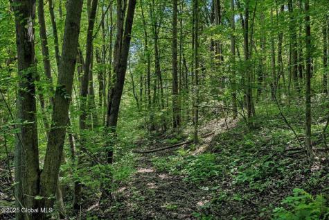 112 Woods Lane Colonie NY 12204