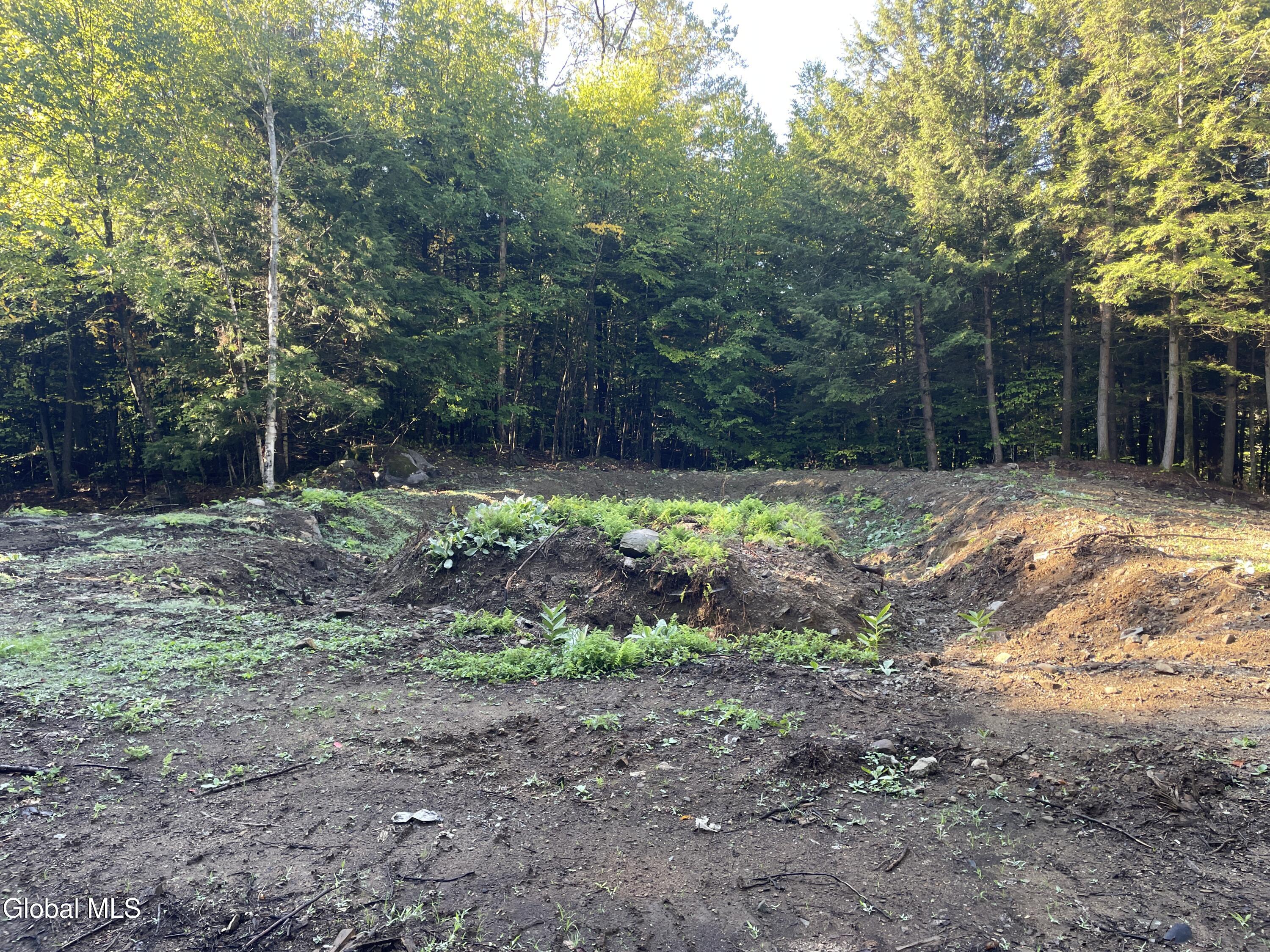 337 Thomas Road Lake Luzerne NY 12846