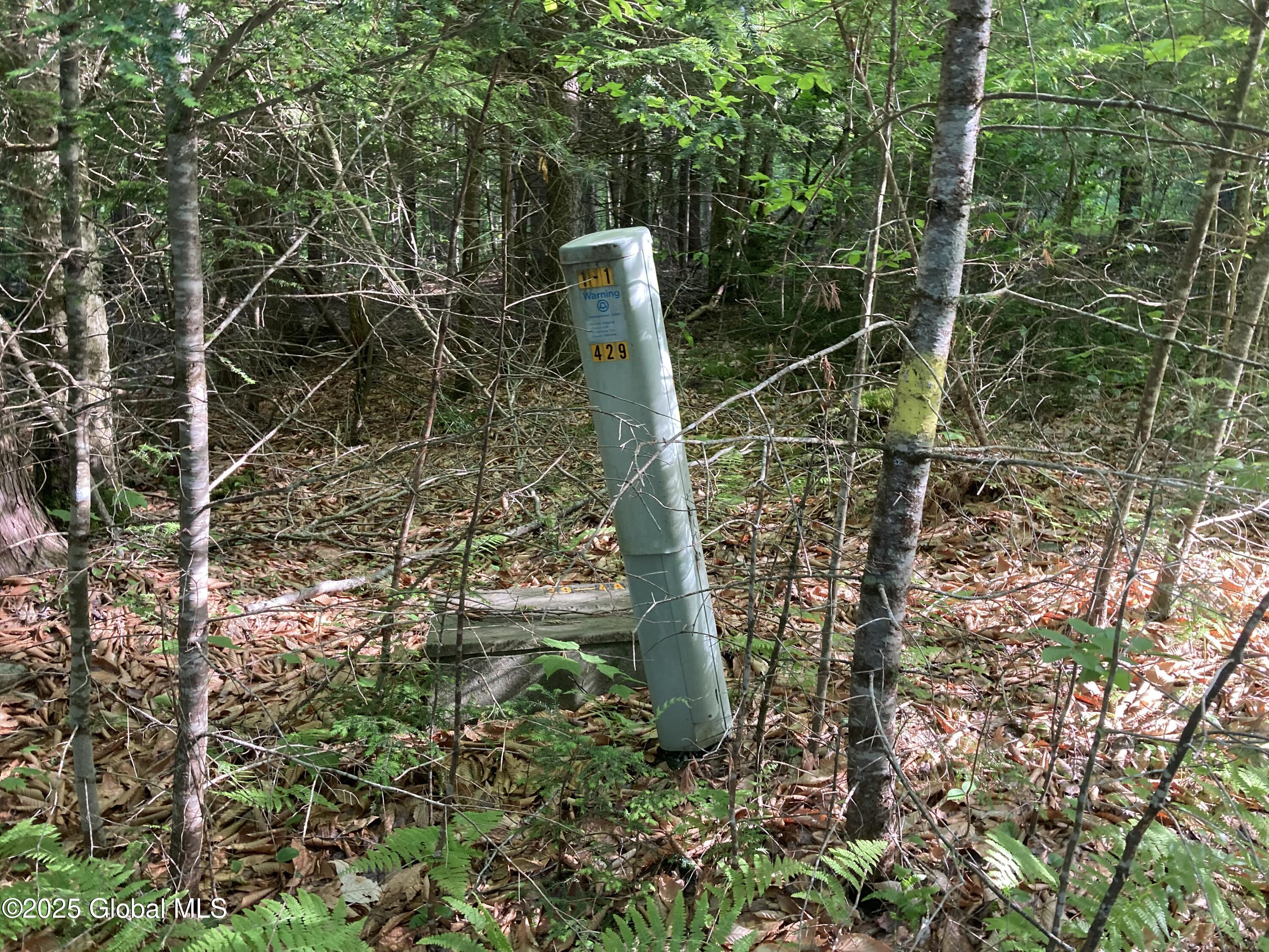 51 Sams Road Schroon Lake NY 12870