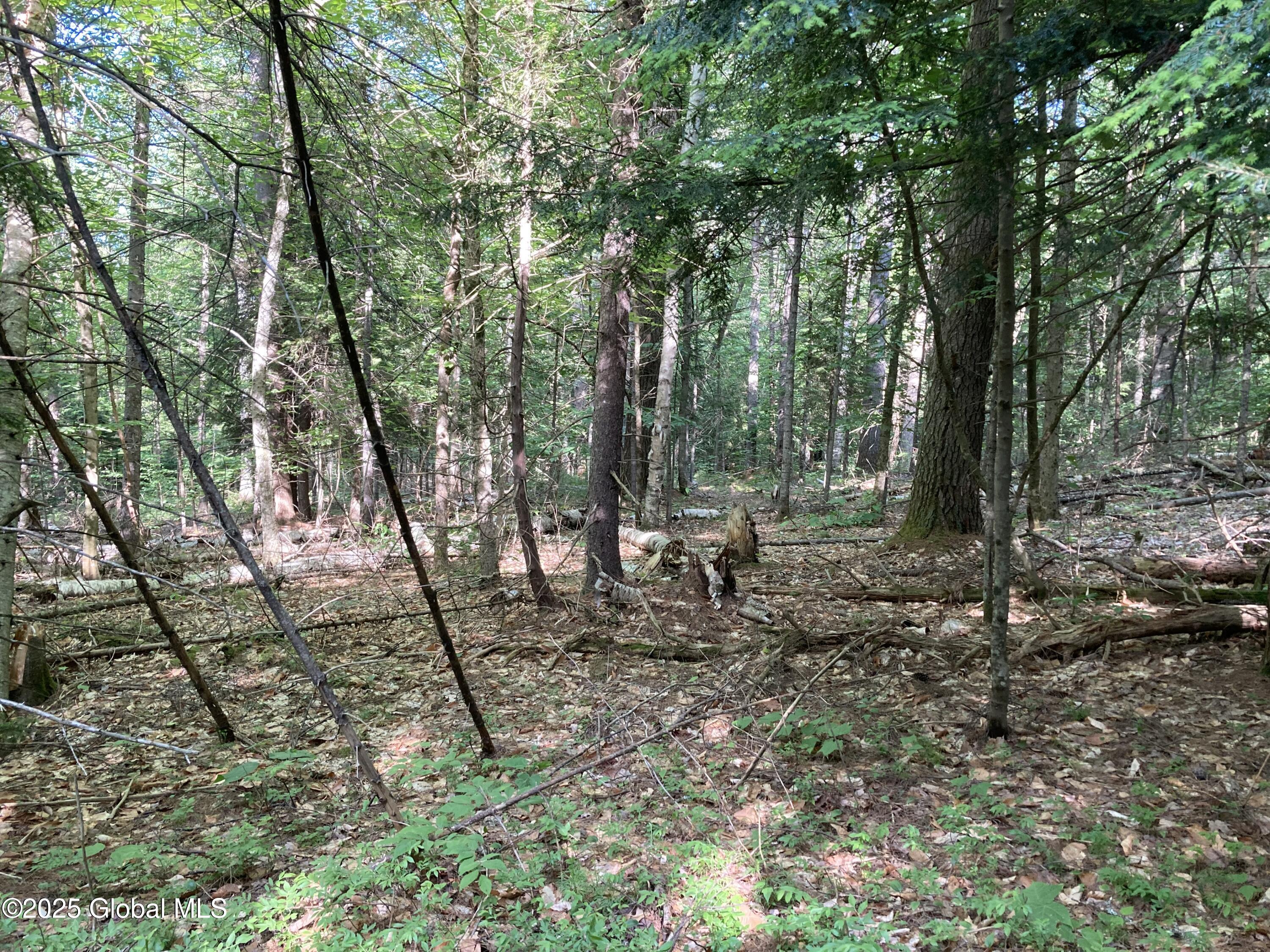 51 Sams Road Schroon Lake NY 12870