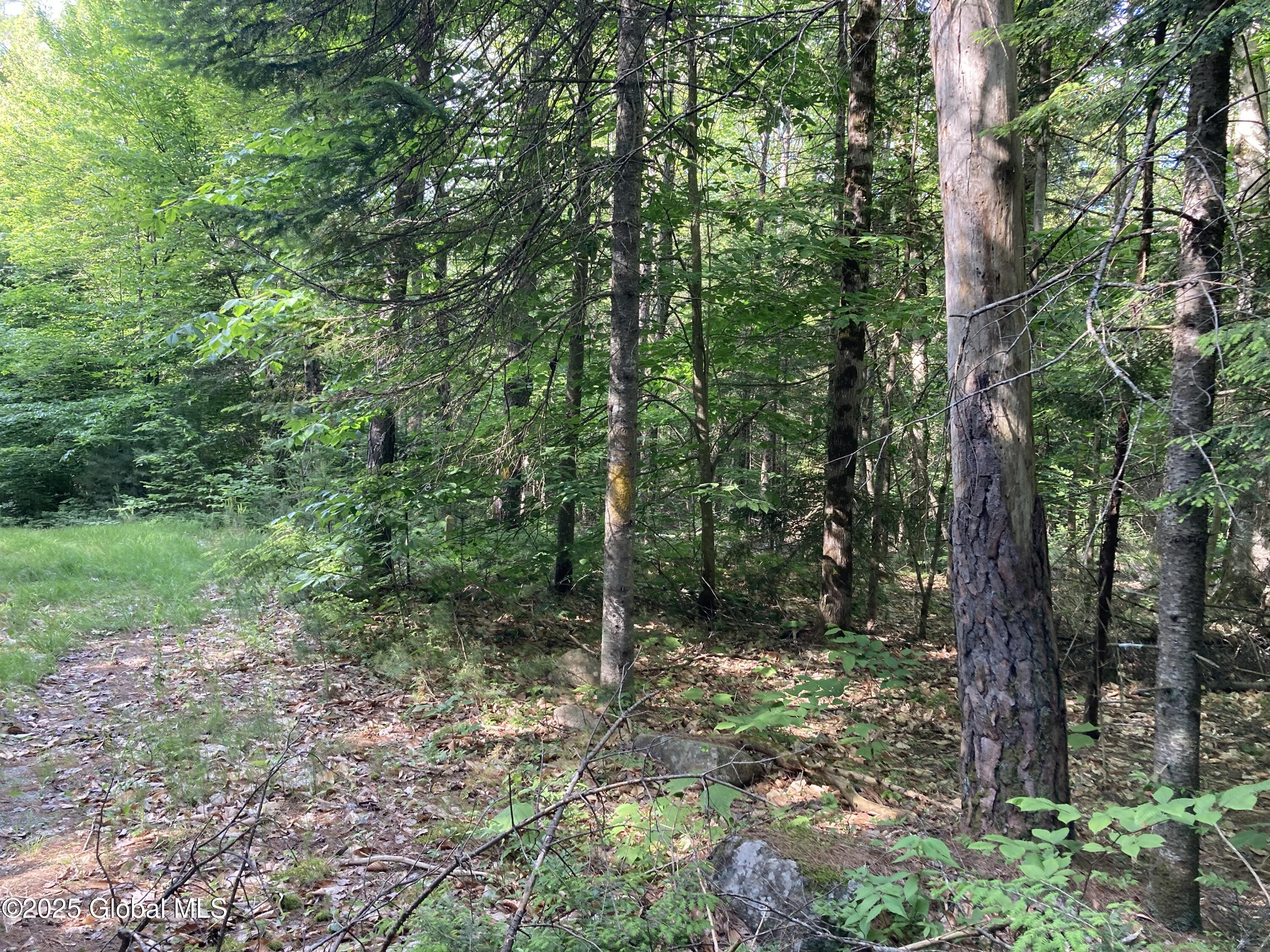 51 Sams Road Schroon Lake NY 12870