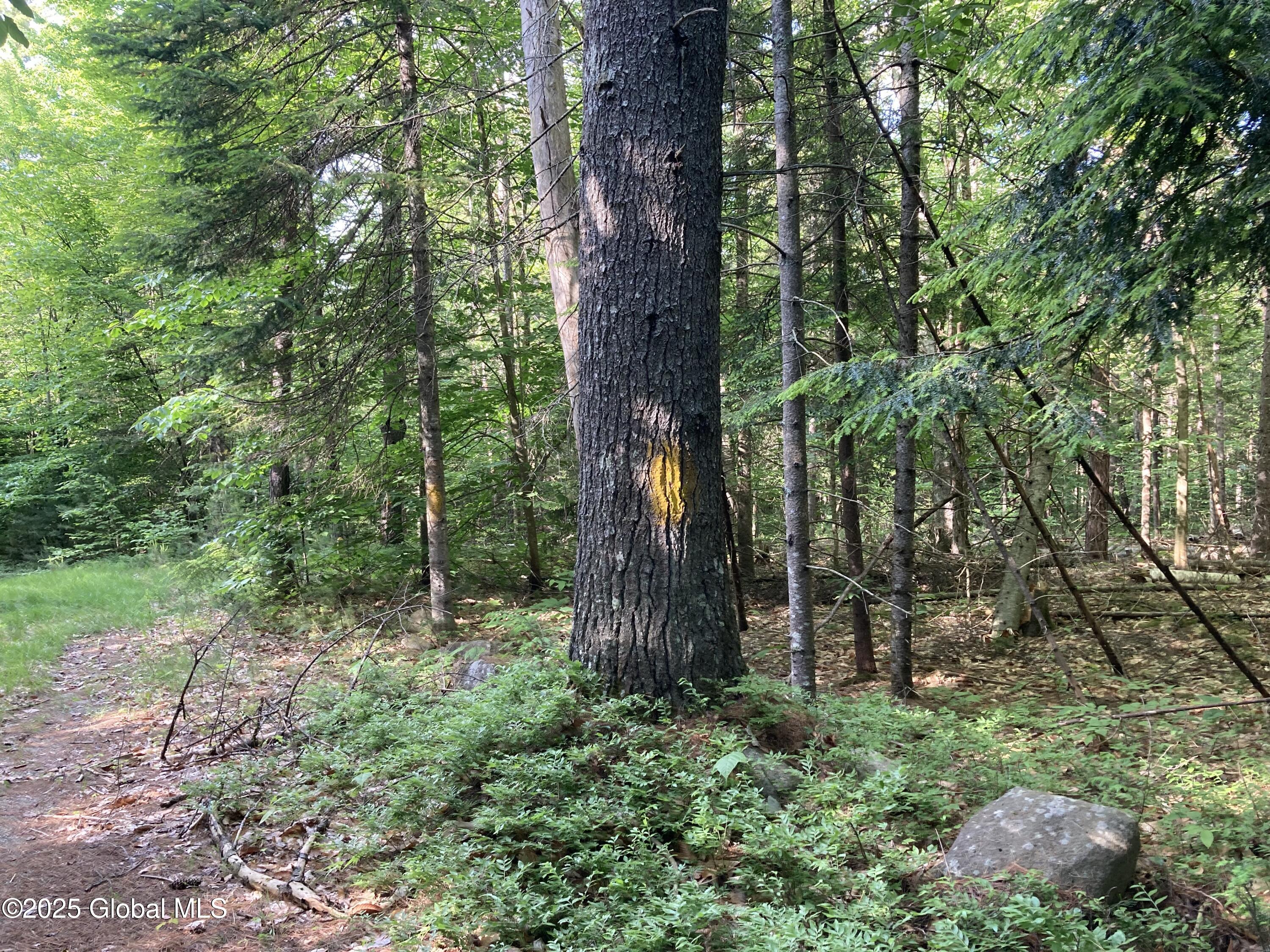 51 Sams Road Schroon Lake NY 12870