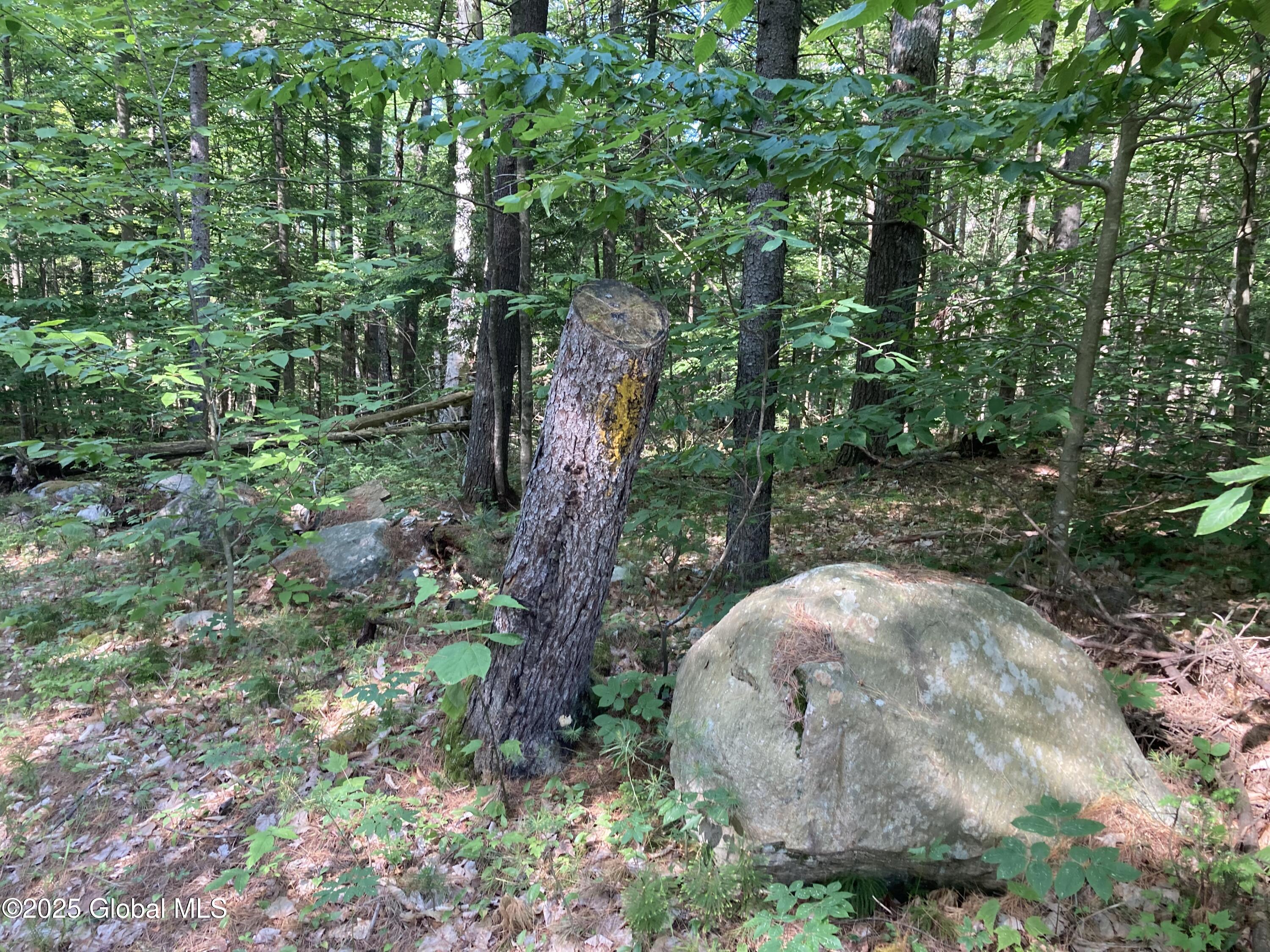 51 Sams Road Schroon Lake NY 12870