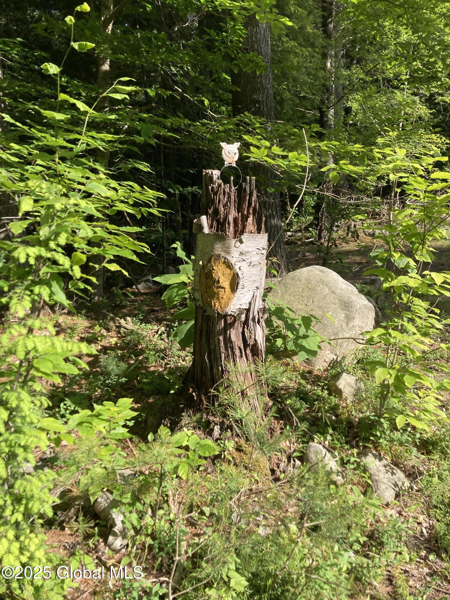 51 Sams Road Schroon Lake NY 12870