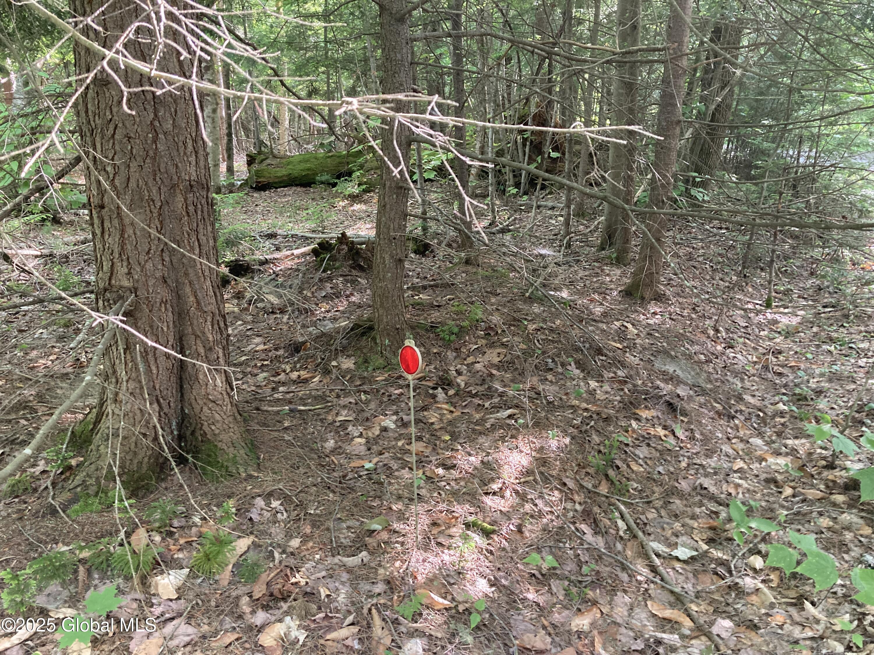 51 Sams Road Schroon Lake NY 12870