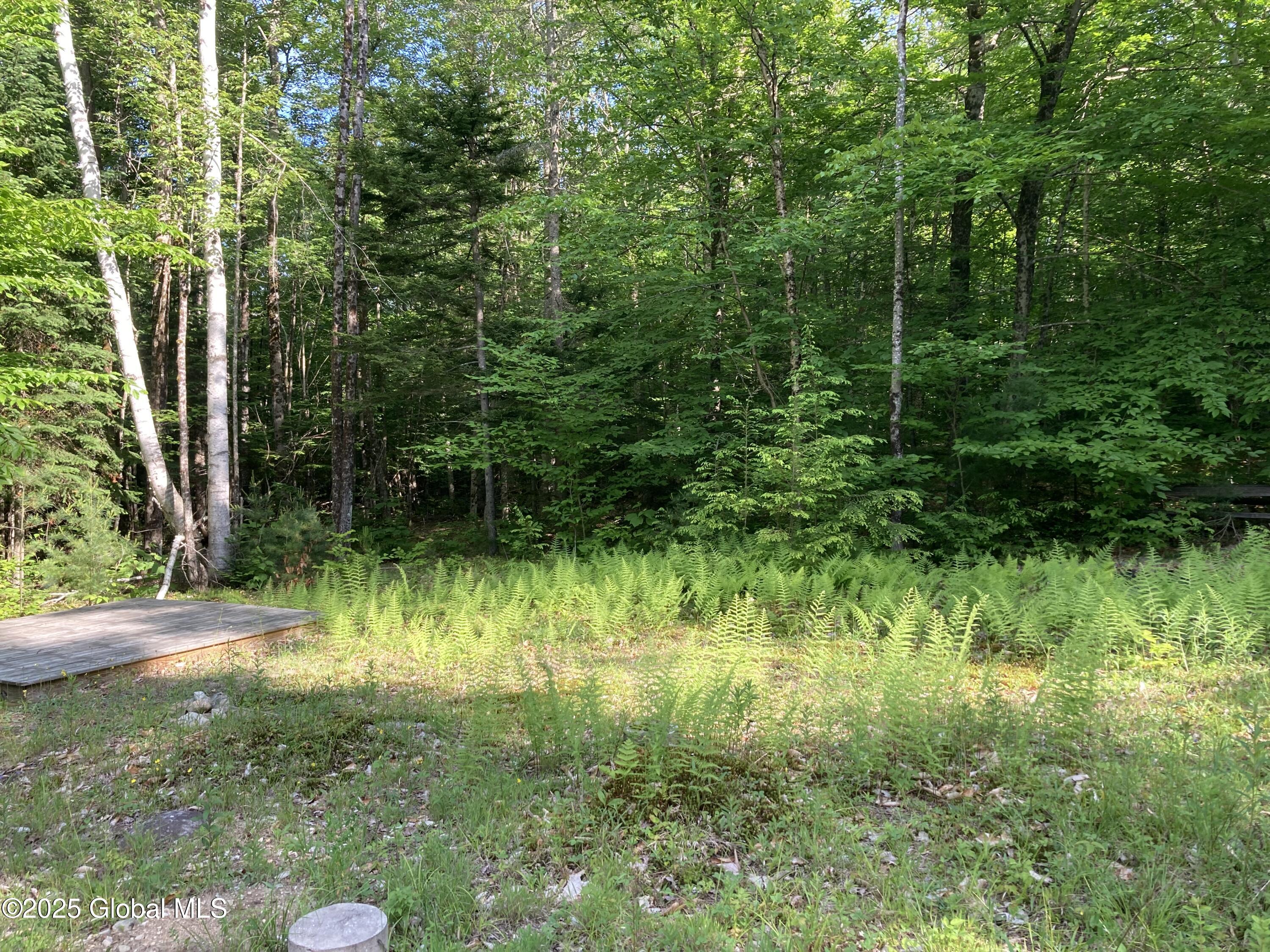 51 Sams Road Schroon Lake NY 12870