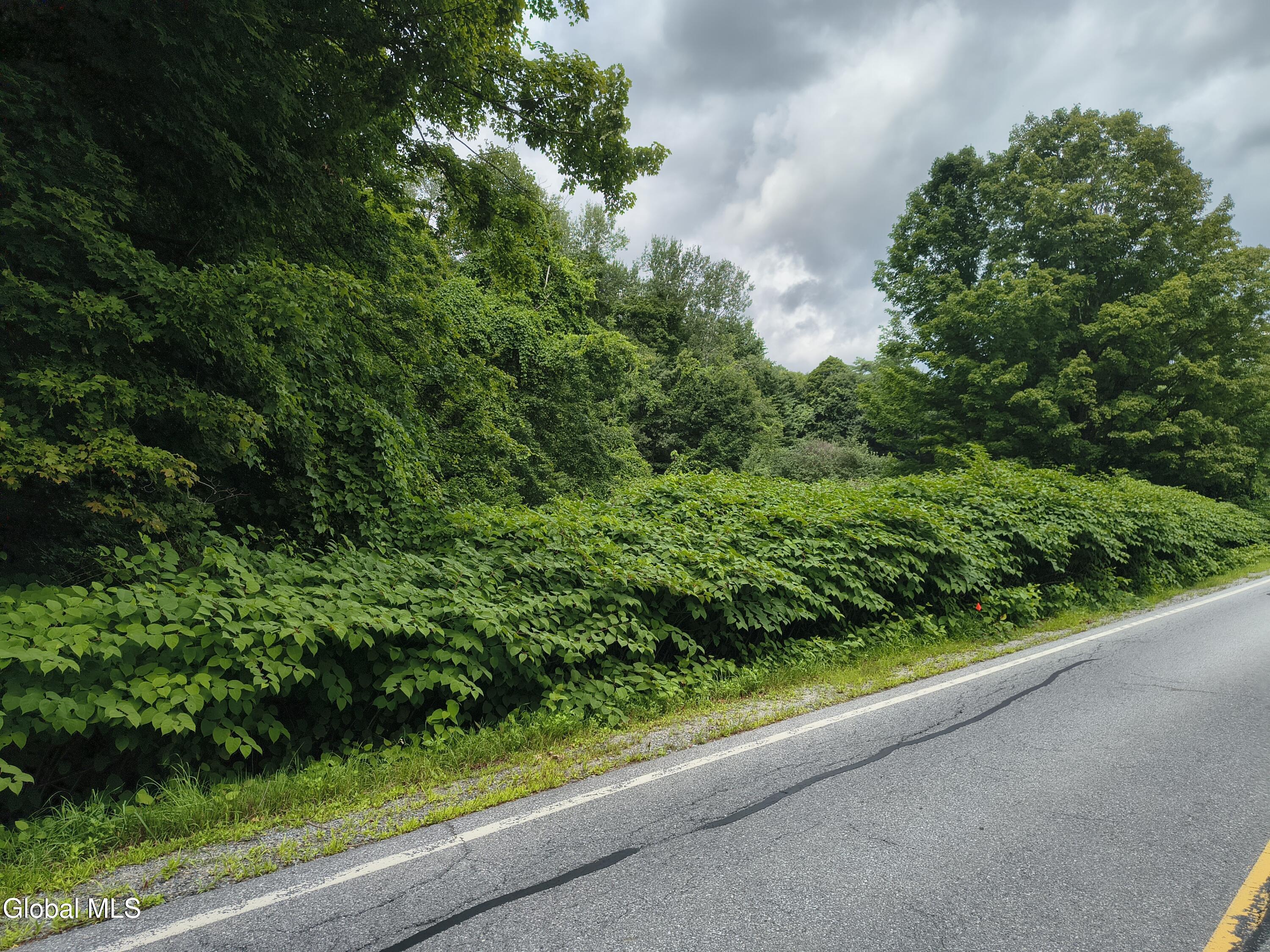 458 Coy Road Greenfield Center NY 12833