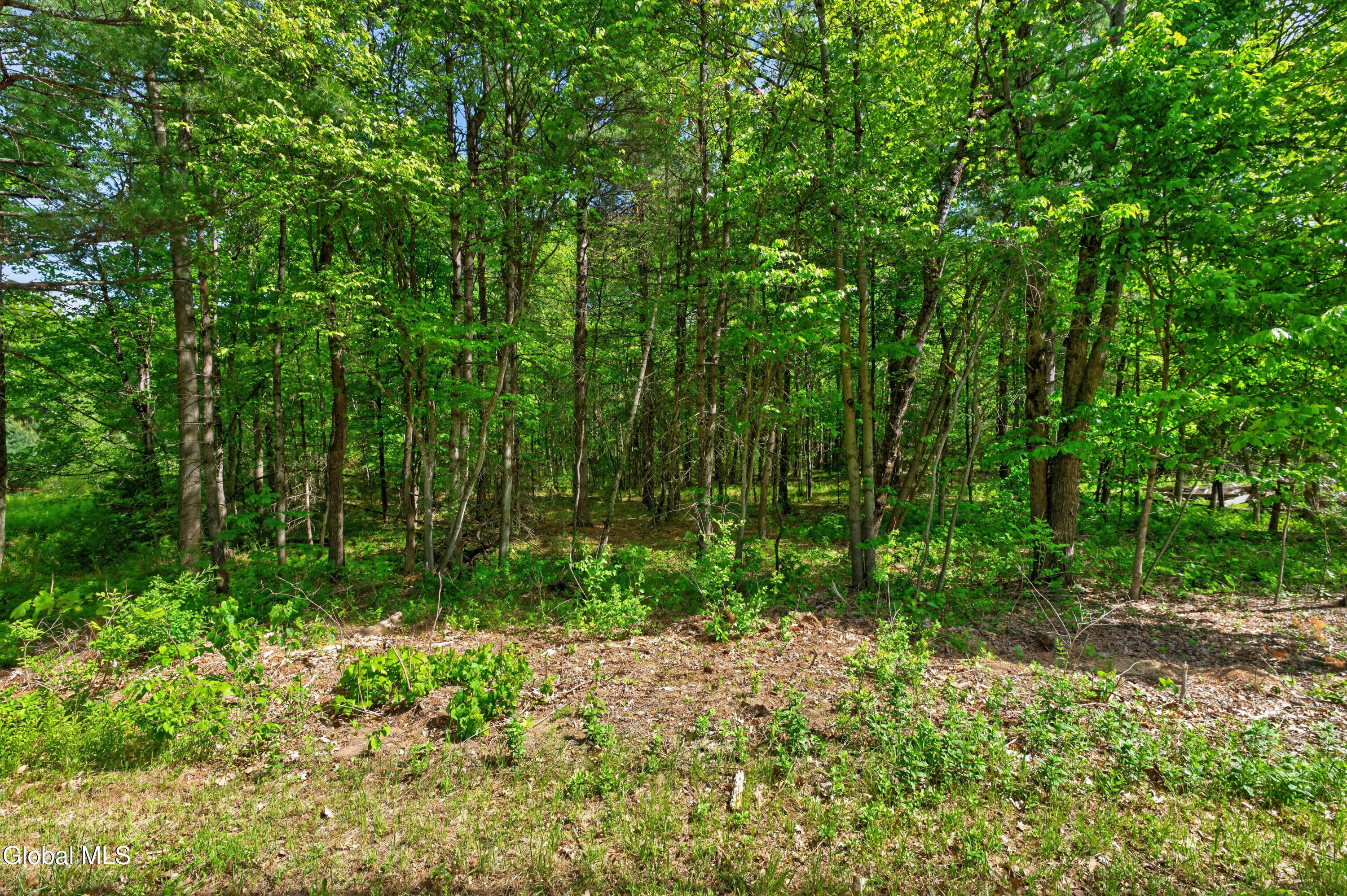 L3 27.11 King Road Saratoga NY 12831