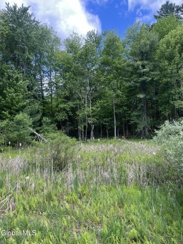 L3 27.11 King Road Saratoga NY 12831