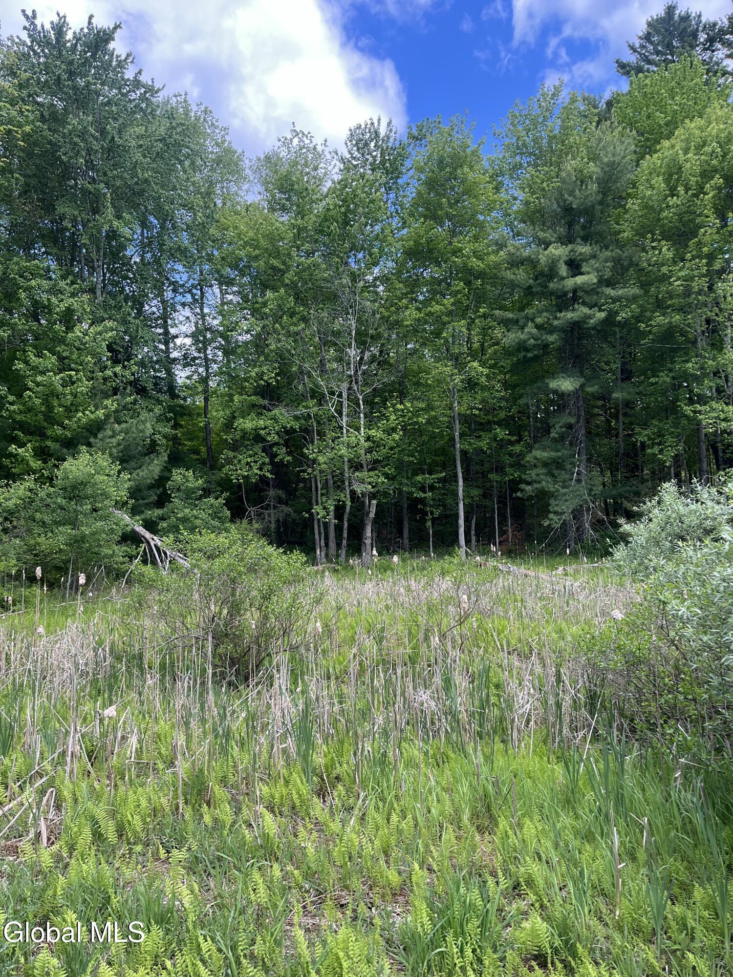 L3 27.11 King Road Saratoga NY 12831