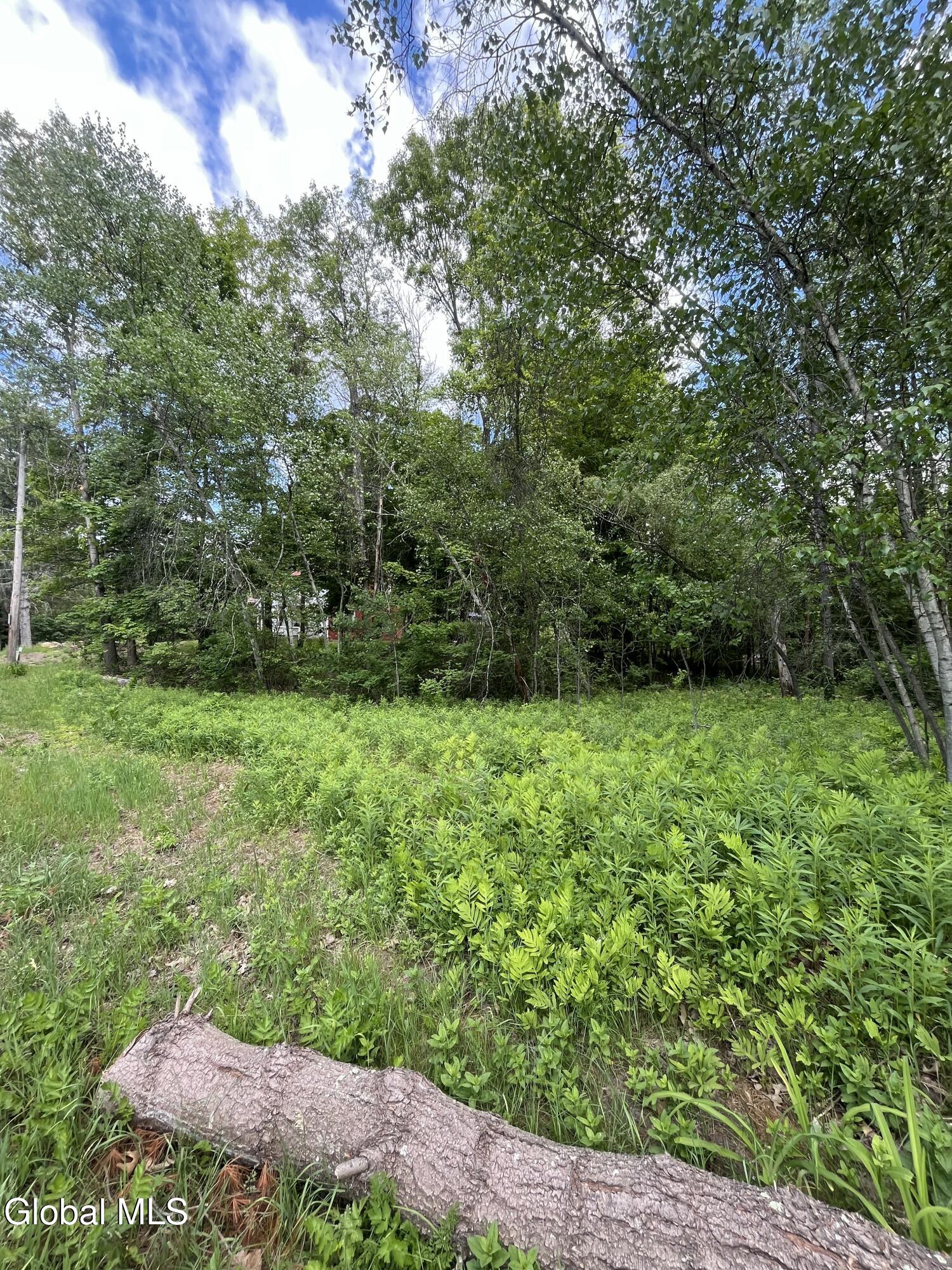 L3 27.11 King Road Saratoga NY 12831