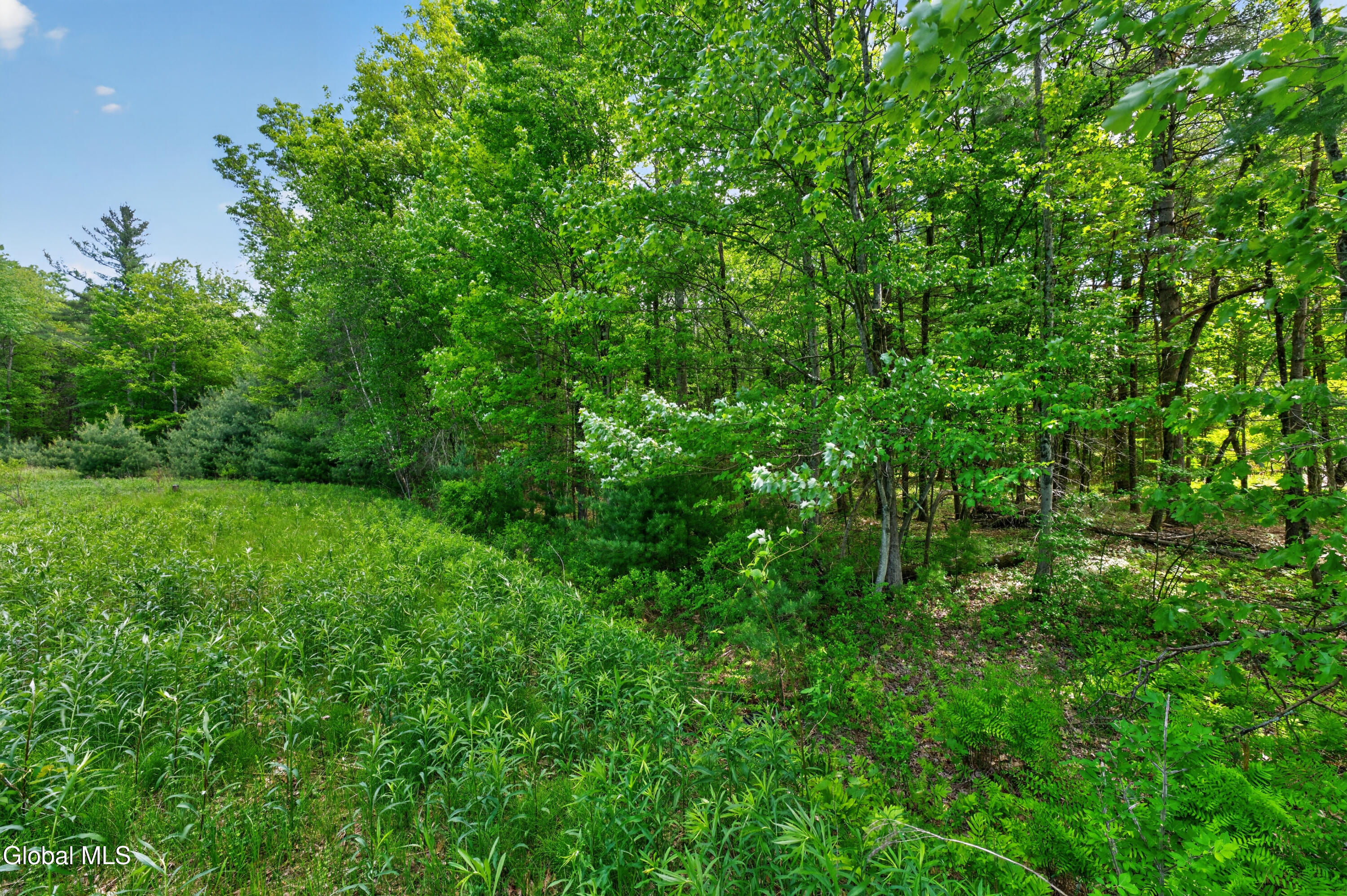 L3 27.11 King Road Saratoga NY 12831