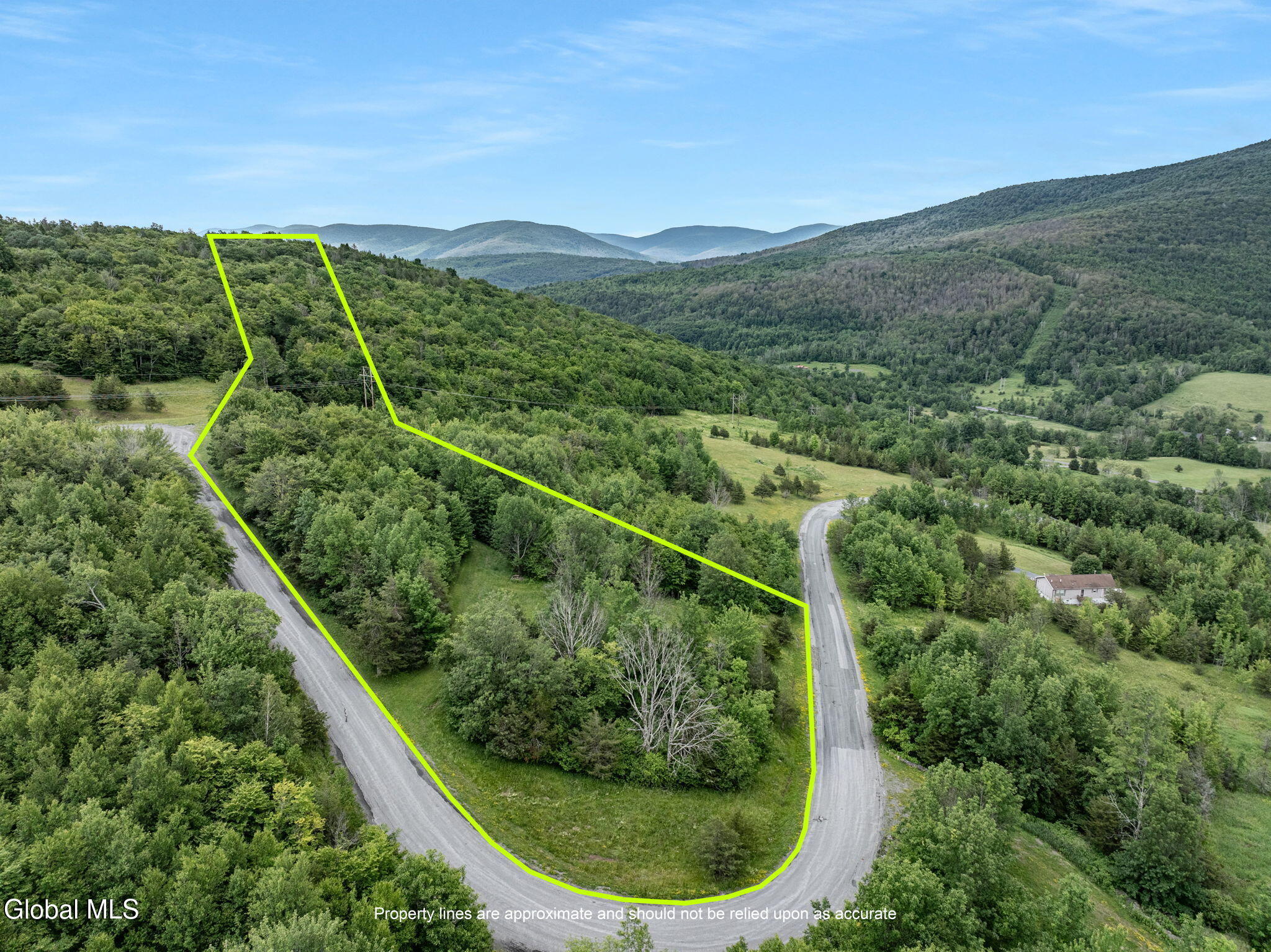 L41 Overlook Drive Lexington NY 12452