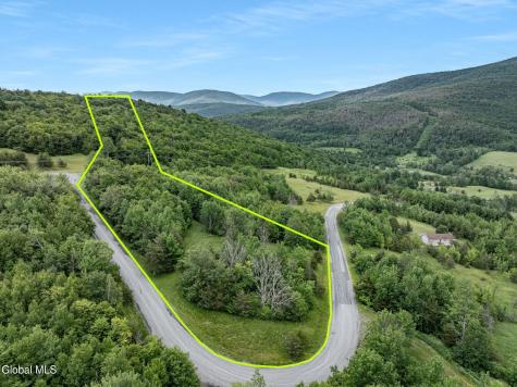 L41 Overlook Drive Lexington NY 12452