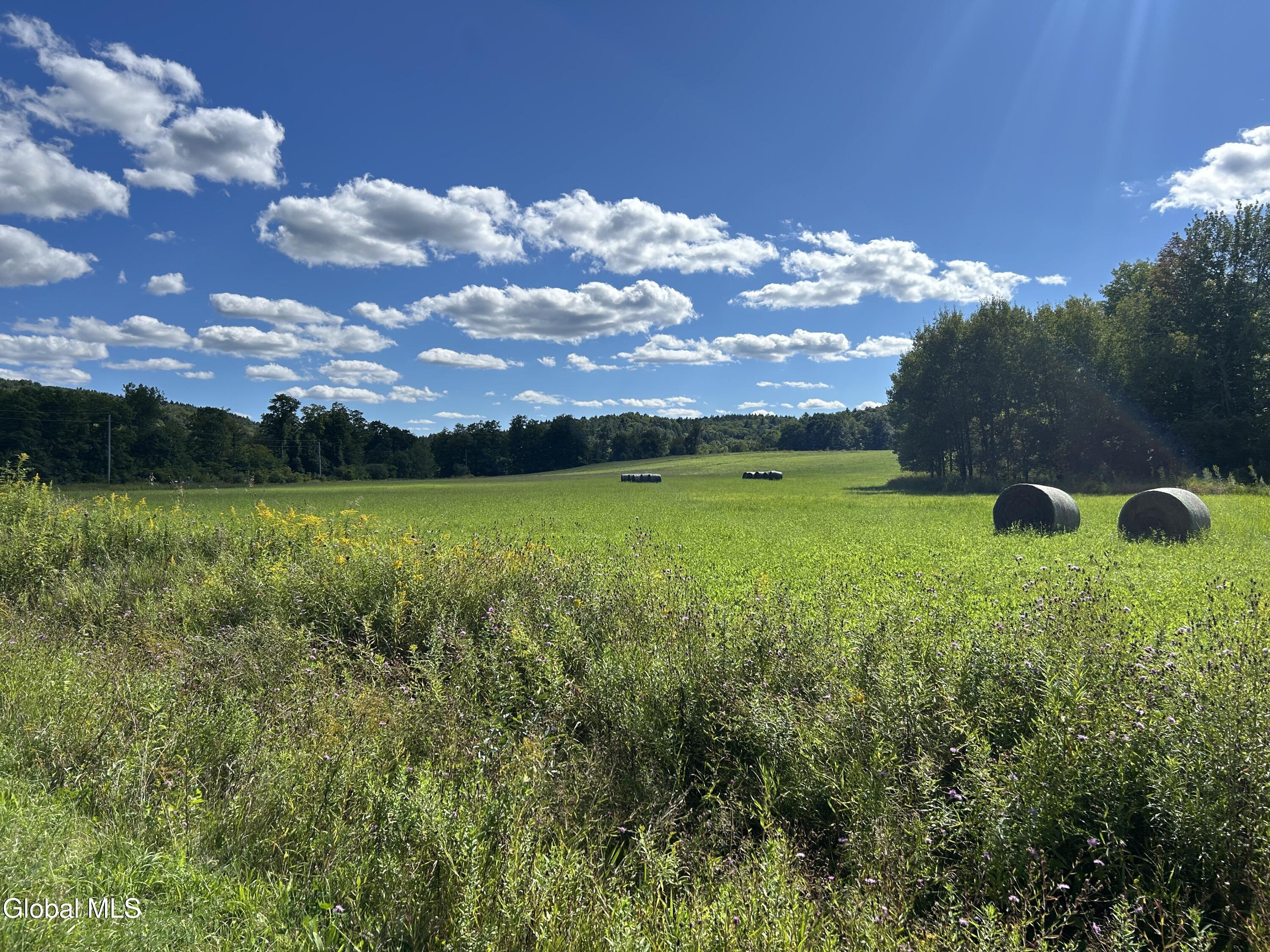 711 Gifford Hollow Road Berne NY 12023