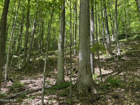 711 Gifford Hollow Road Berne NY 12023