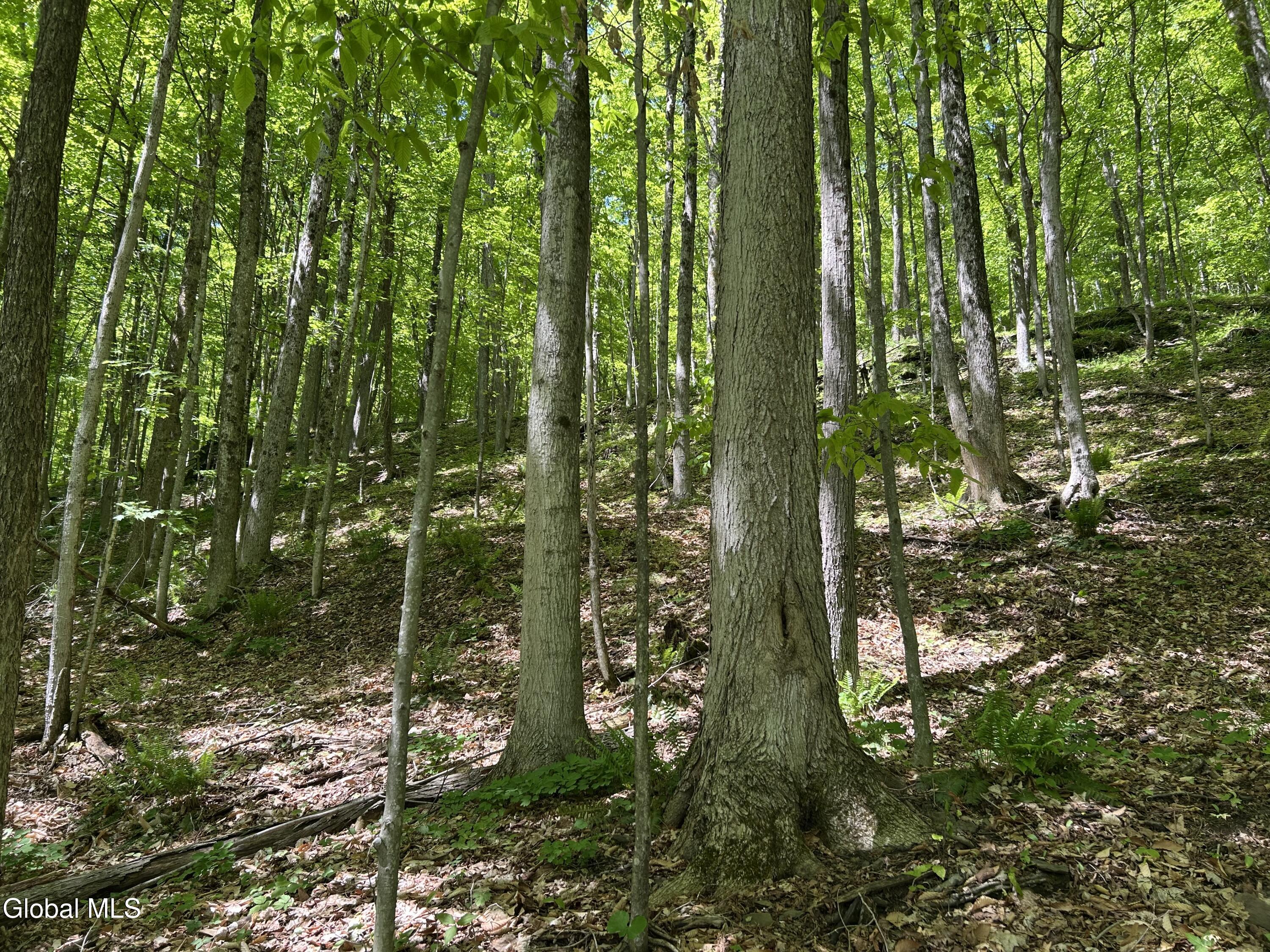 711 Gifford Hollow Road Berne NY 12023
