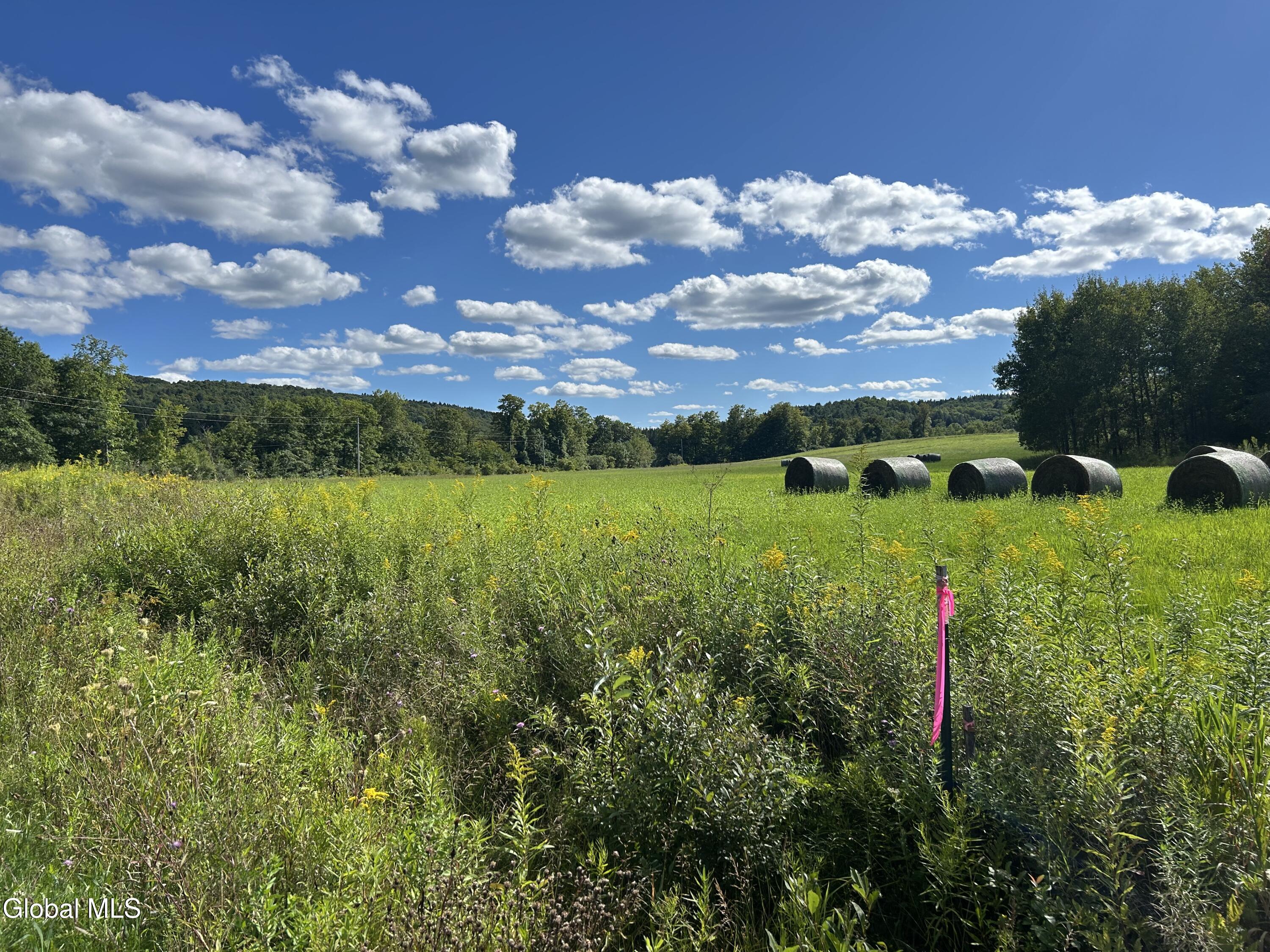 711 Gifford Hollow Road Berne NY 12023