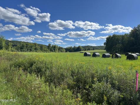 711 Gifford Hollow Road Berne NY 12023